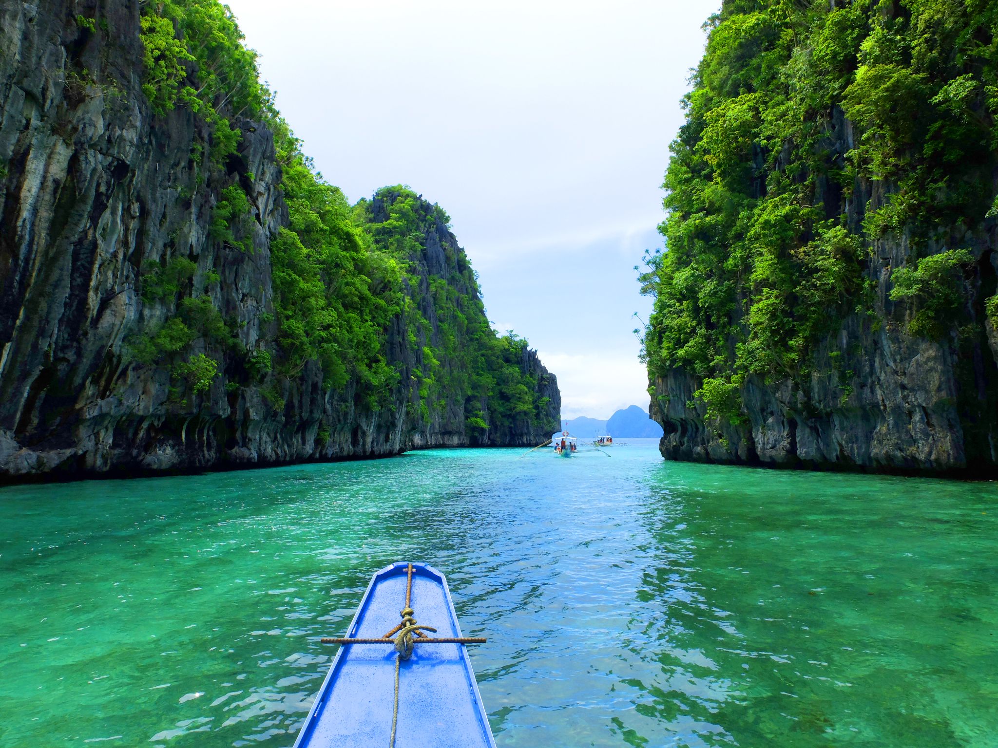 2048x1536 How best to enjoy the rich wildlife of Palawan in the Philippines