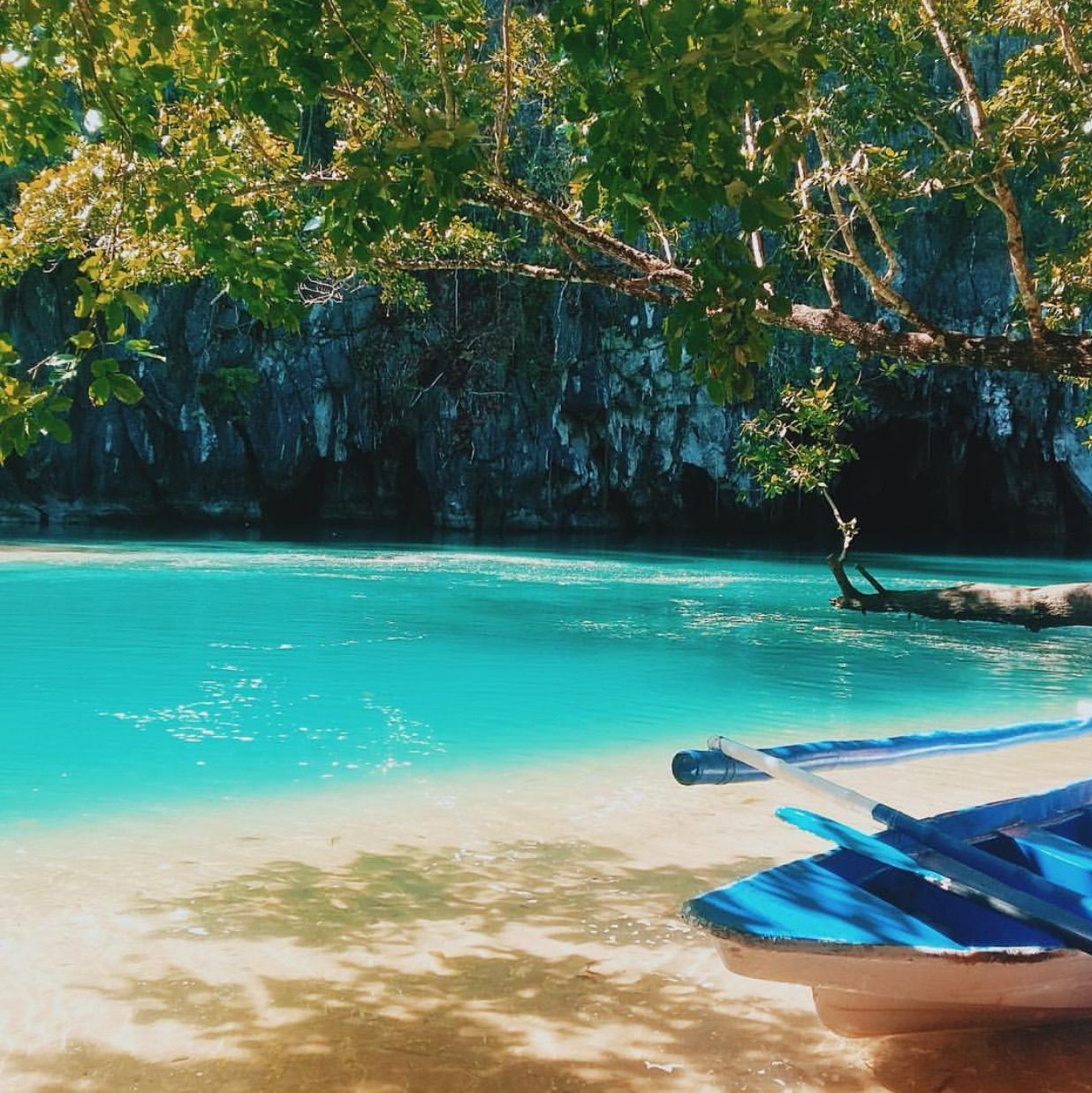 1236x1237 Puerto Princesa: A Wonder for A Reason. Trip.com Puerto Princesa