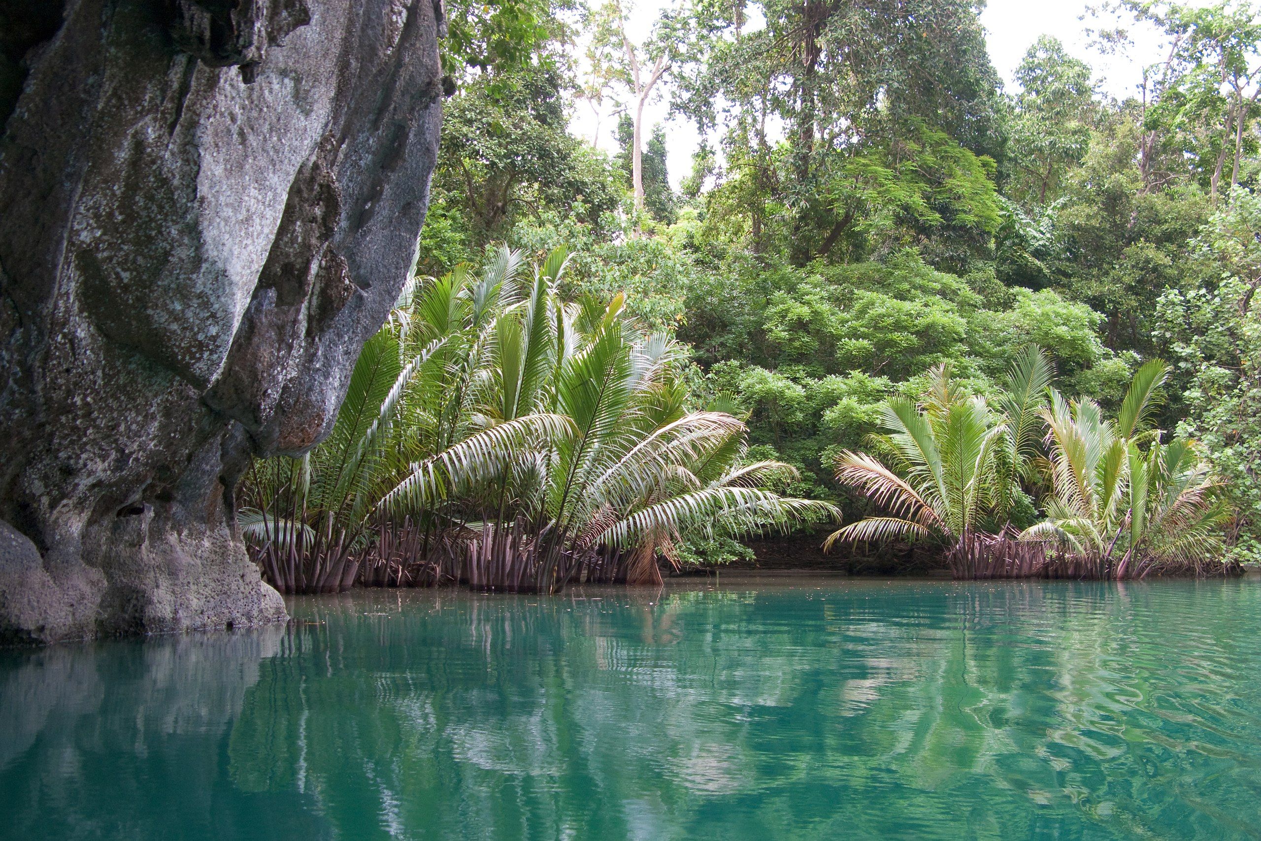 2560x1707 Jungle lake at the entrance to Puerto Princesa Subterranean River Cave, Palawan