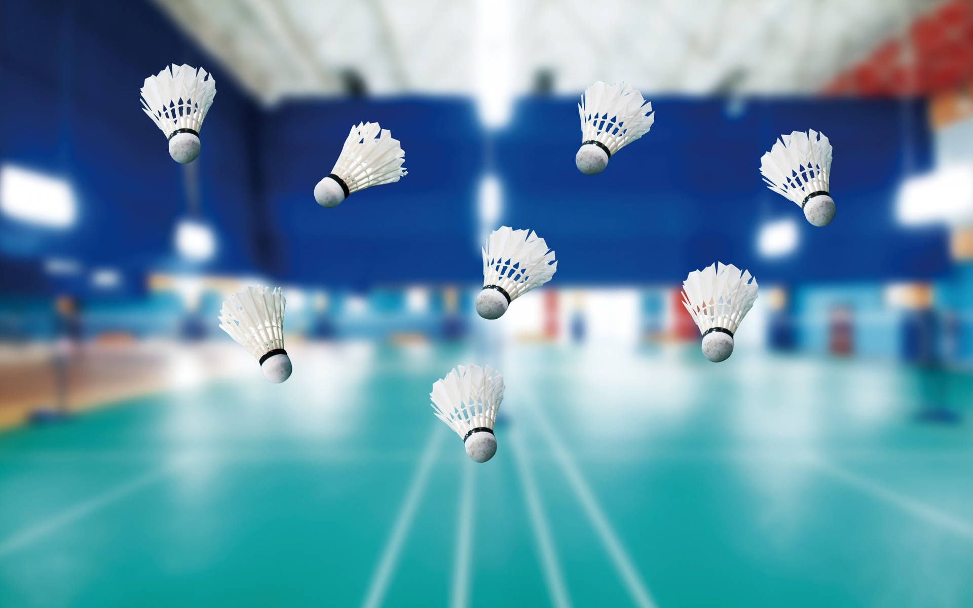 1920x1200 Badminton Wallpaper