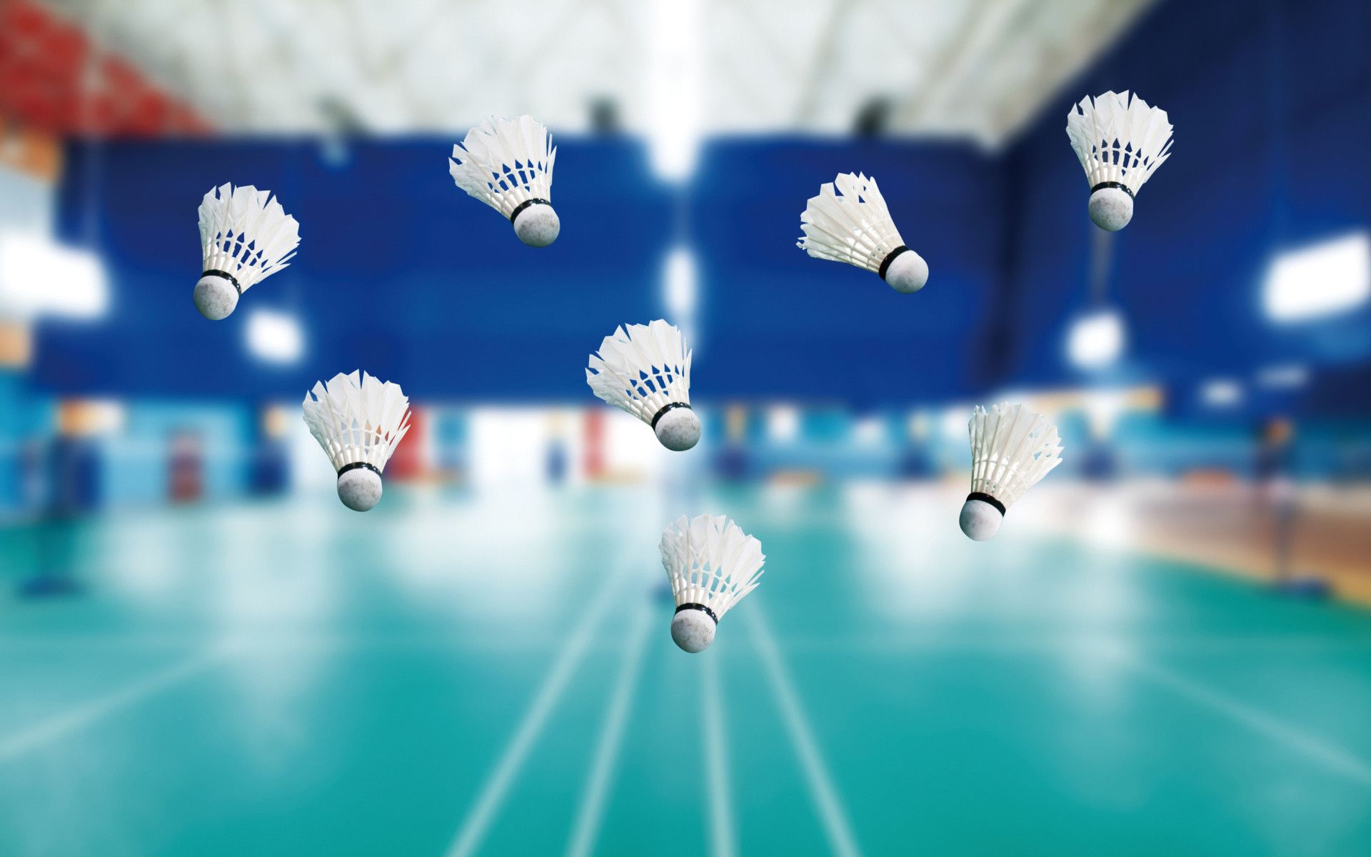 1920x1200 Badminton Wallpaper