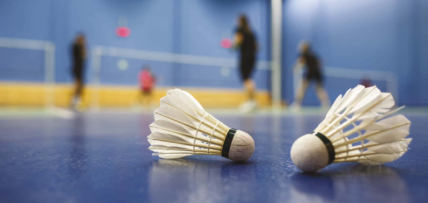 1756x836 Best Badminton Background