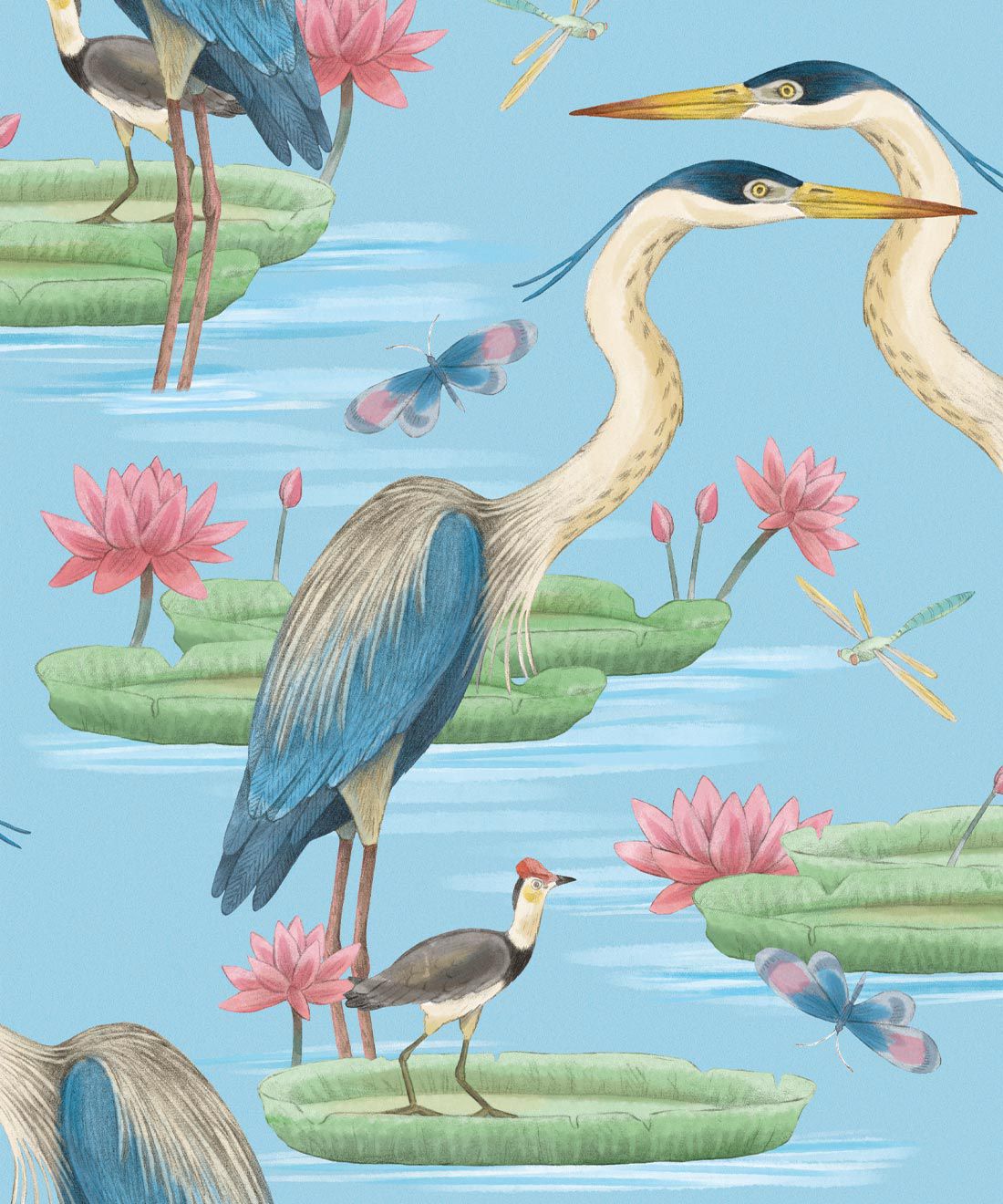 1100x1320 Herons, Jacana & Giant Lilypads • Water Bird Wallpaper