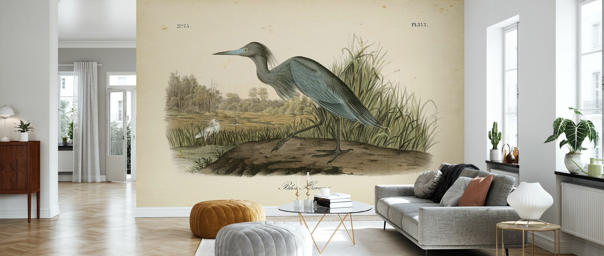 2000x850 Audubons Blue Heron