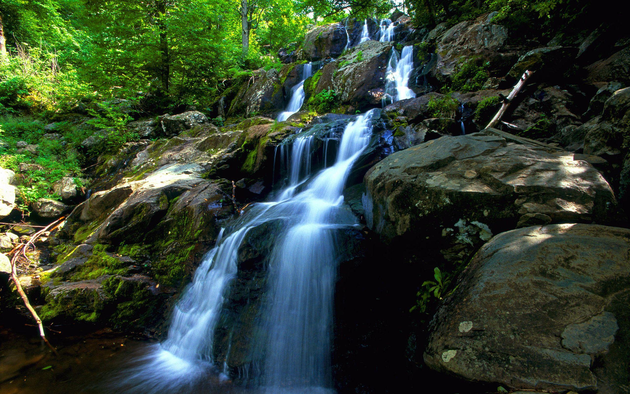 Forest Waterfall Wallpapers - Top Free Forest Waterfall Backgrounds ...