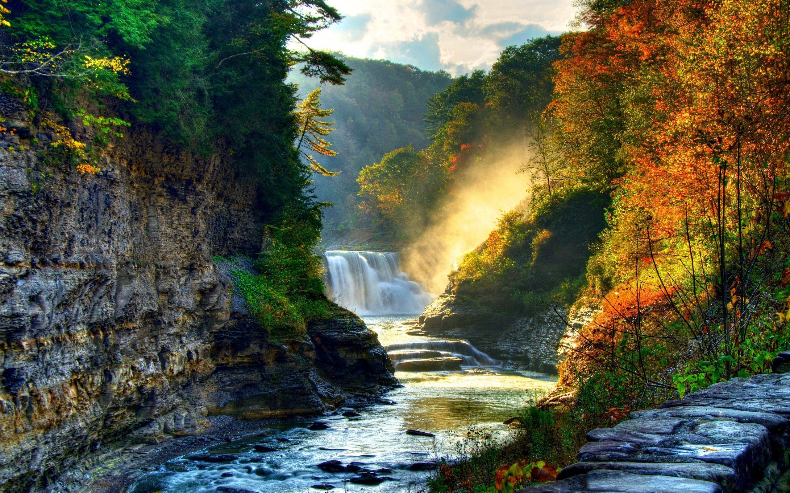 2560x1600 beautiful forest waterfall wallpaper HD beautiful forest