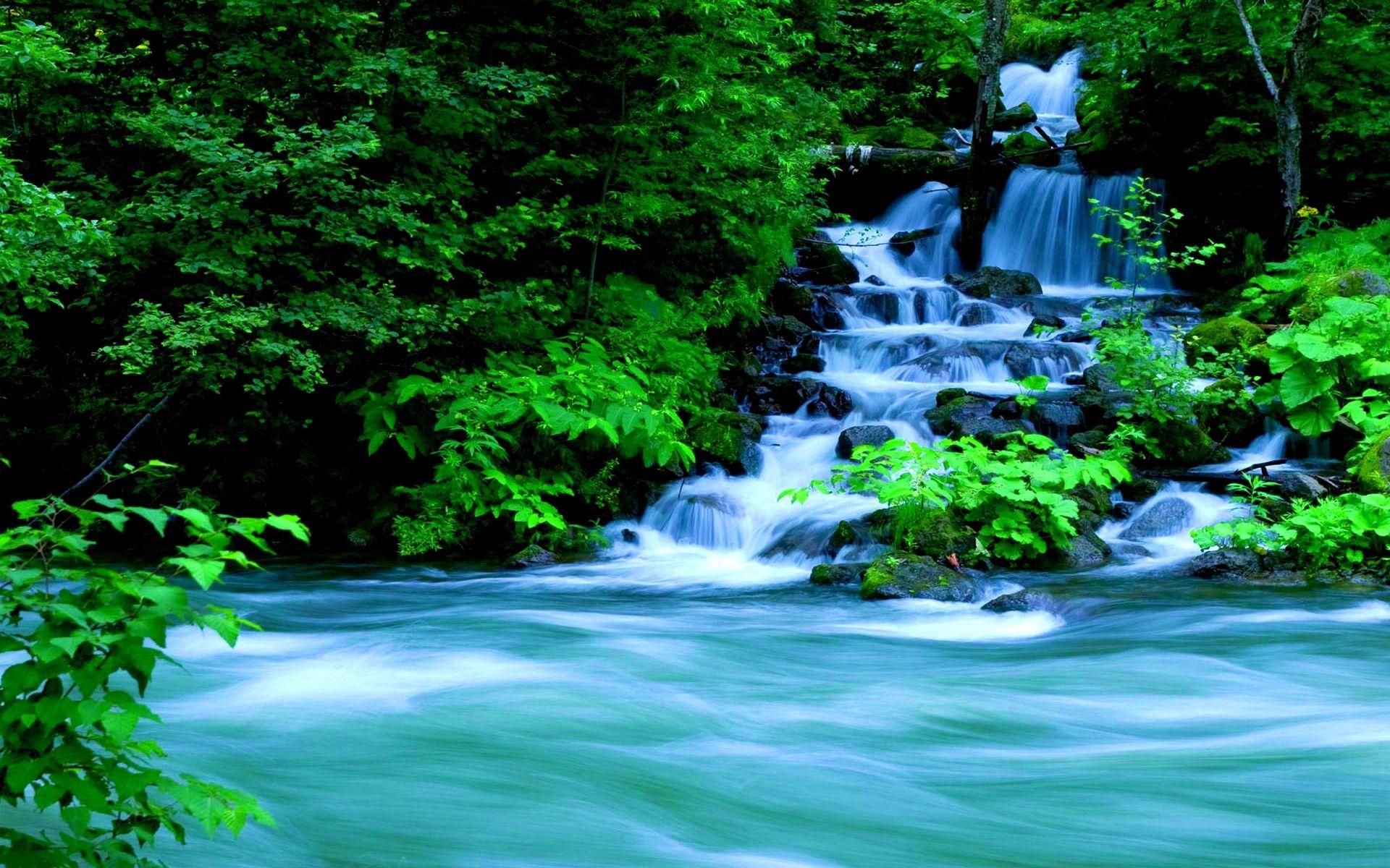 Forest Waterfall Wallpapers - Top Free Forest Waterfall Backgrounds ...