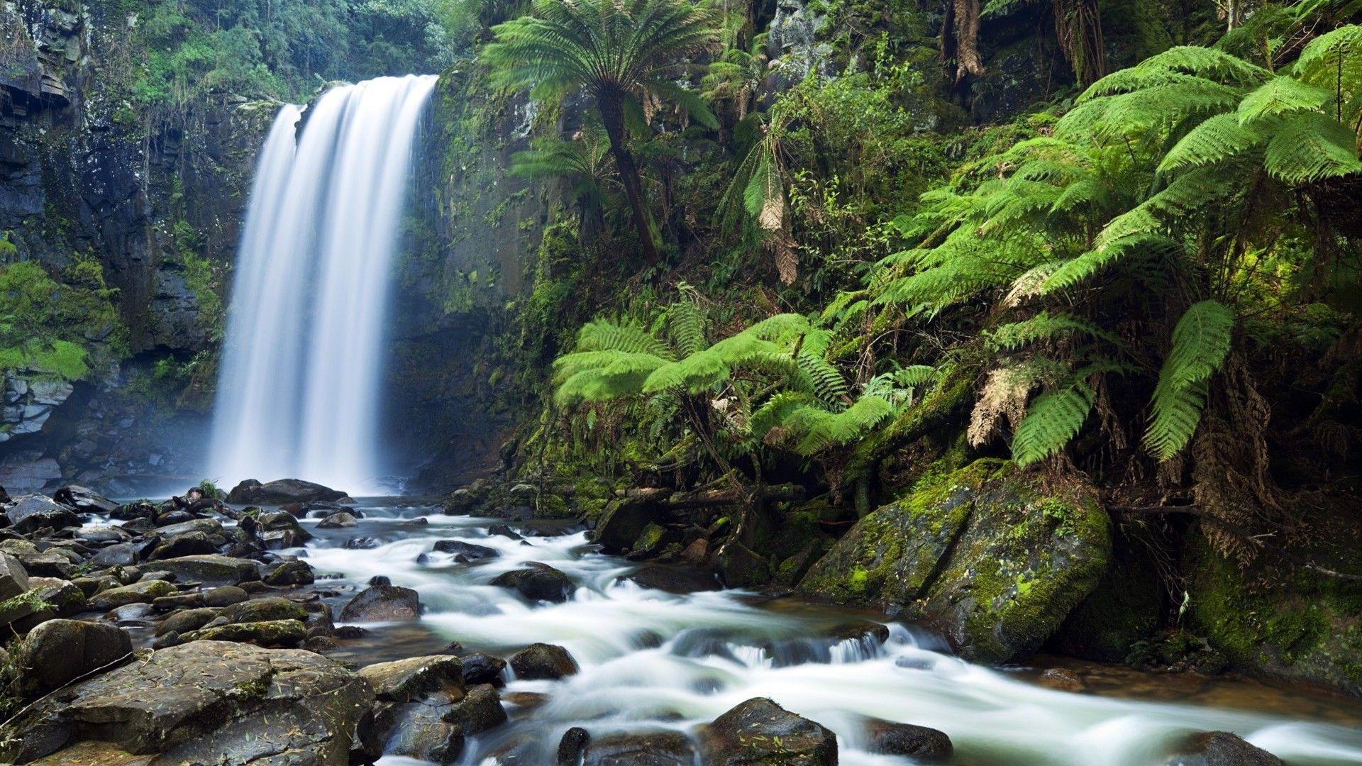 Forest Waterfall Wallpapers - Top Free Forest Waterfall Backgrounds ...