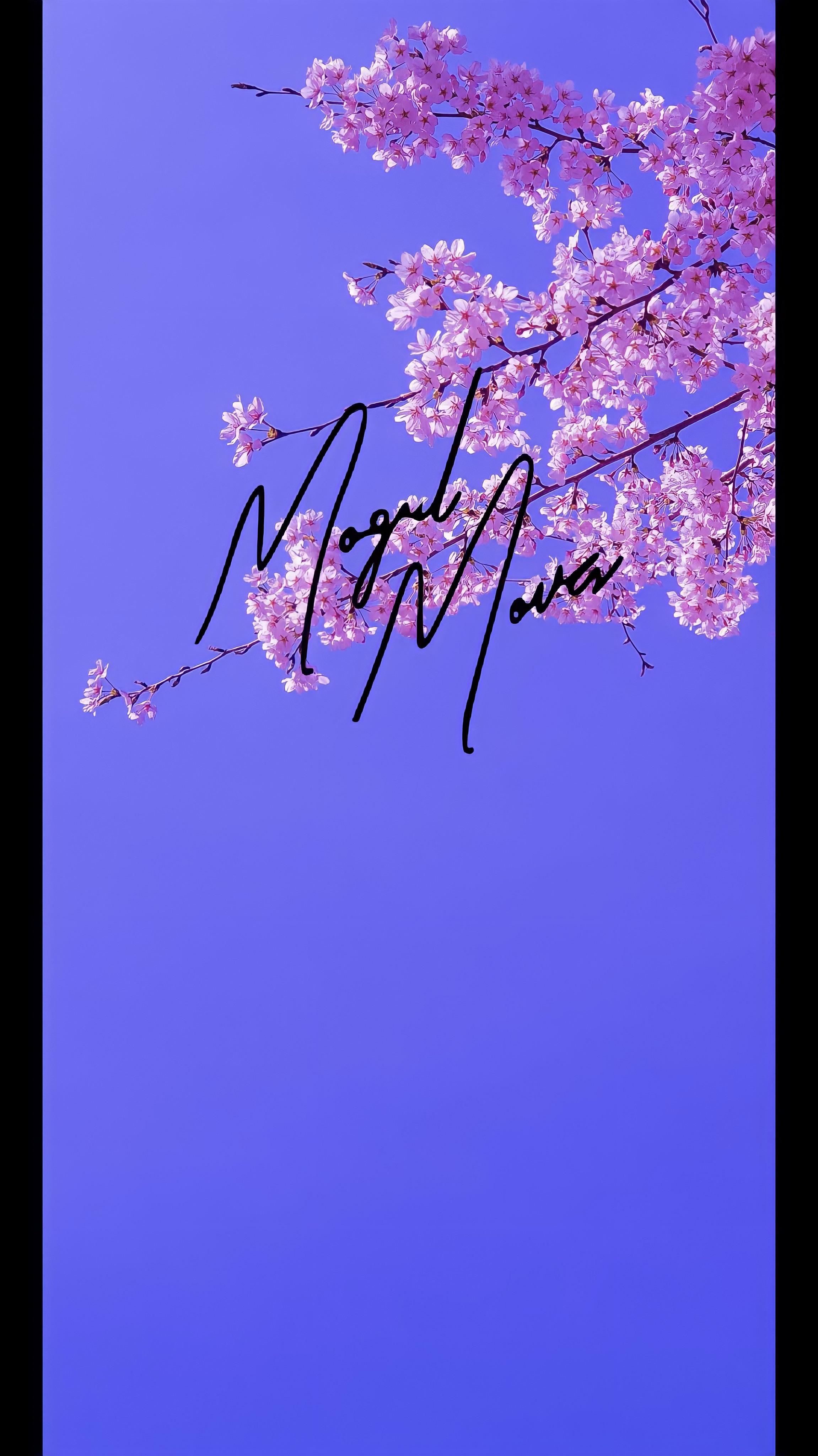 2302x4096 Made this cherry blossom mogul moves wallpaper for the merch drop