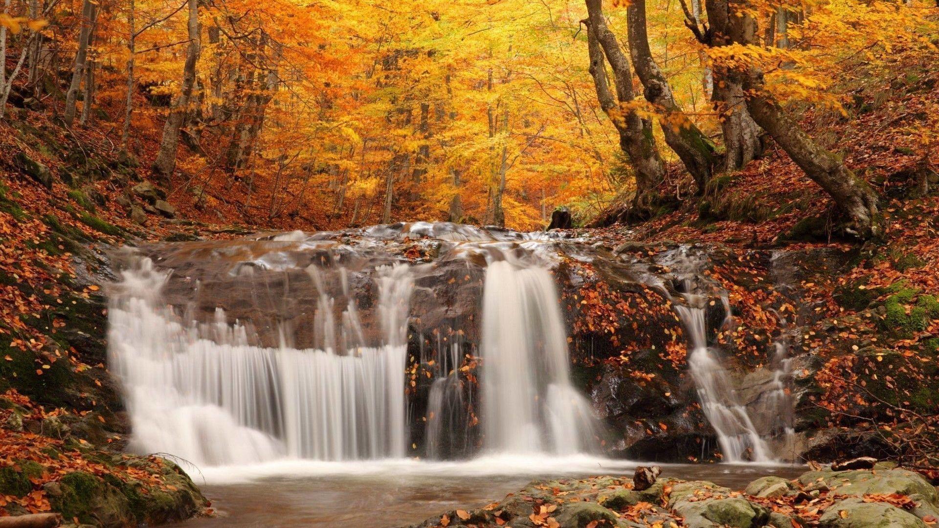 1920x1080 forest waterfall Wallpaper HD Wallpaper WALLPAPERS Pinterest