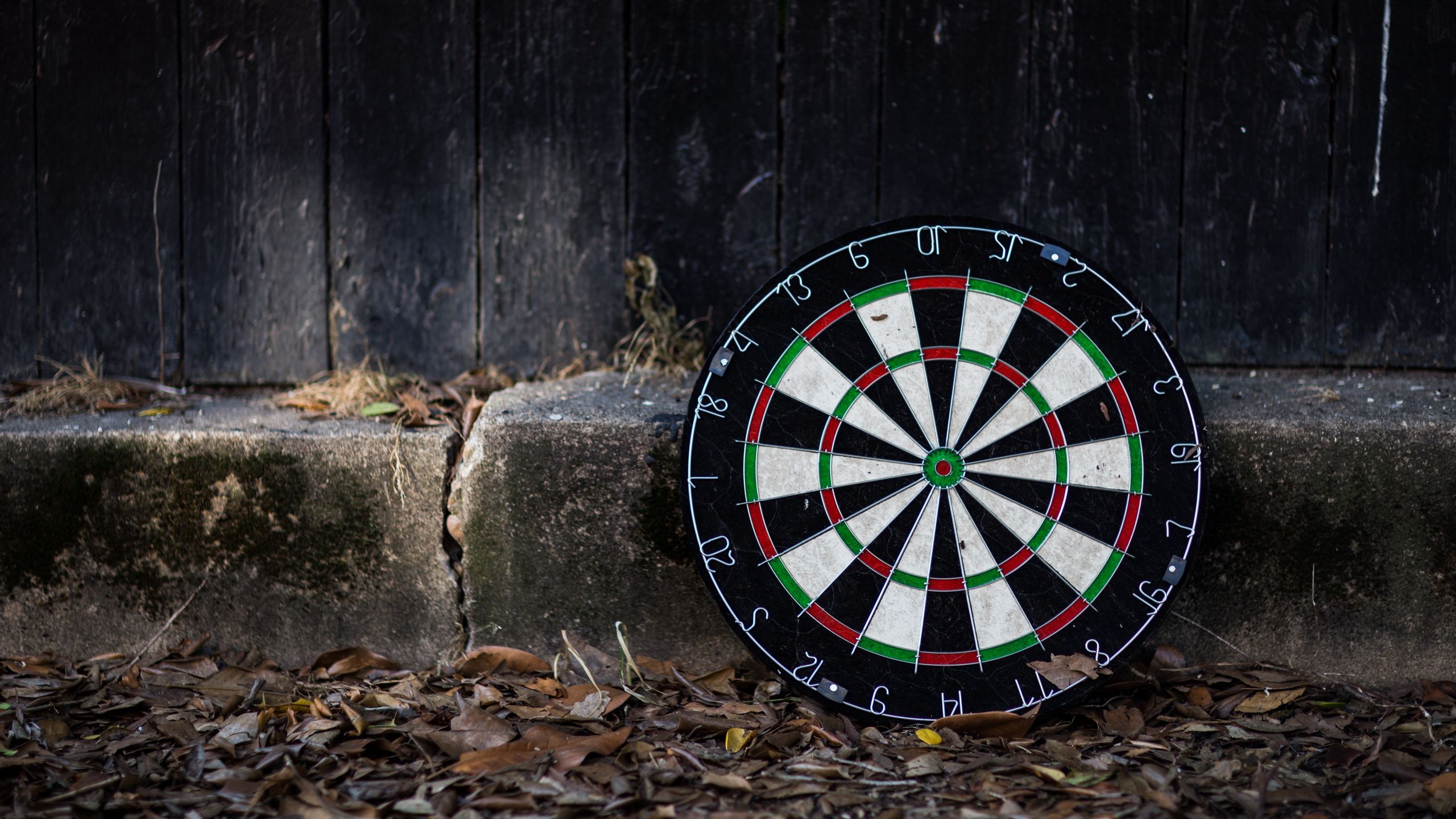 2560x1440 Download wallpaper 2560x1440 darts, board, leaves widescreen 16:9 HD background