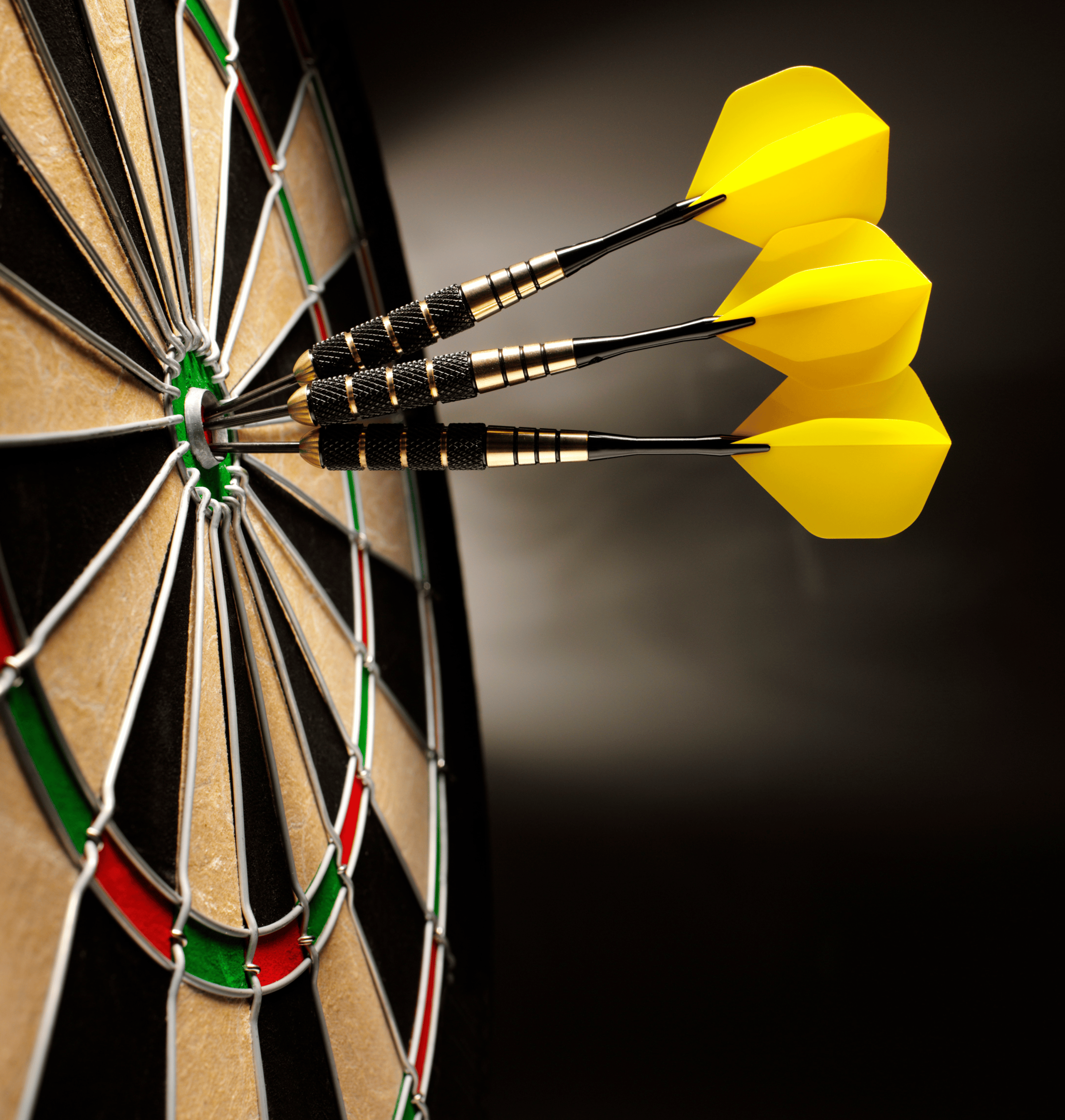 2560x2694 Darts Transplant Games Federation