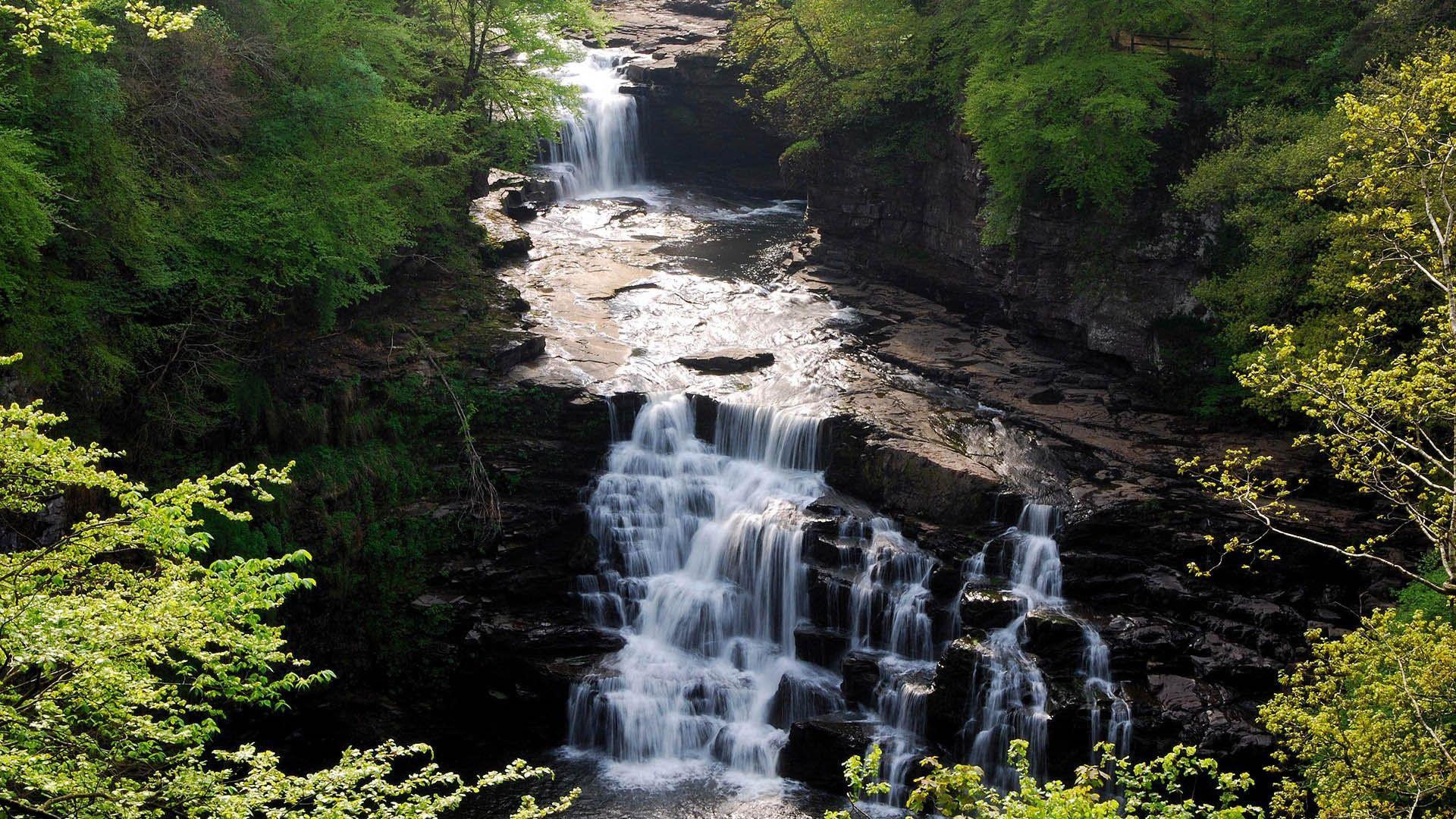 1920x1080 Waterfall: Creek Trees River Waterfalls Nature Forest Waterfall