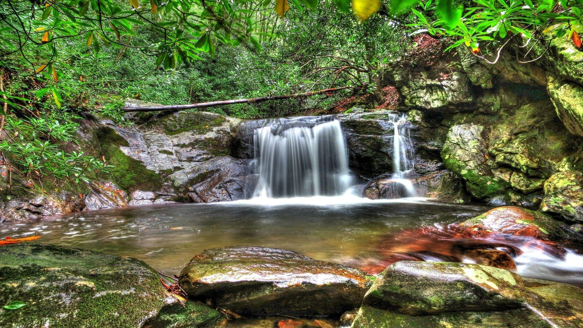 Forest Waterfall Wallpapers - Top Free Forest Waterfall Backgrounds ...