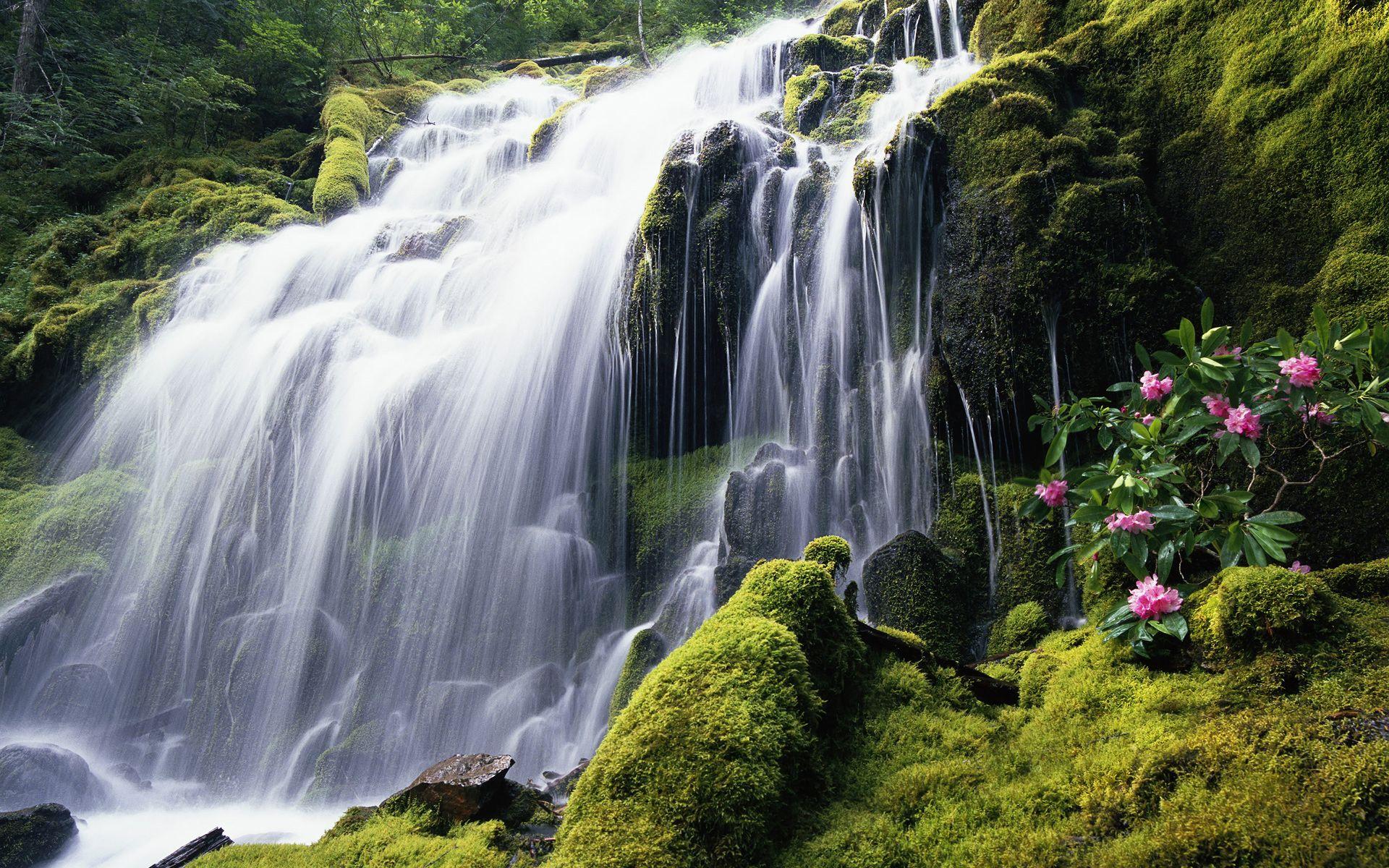 1920x1200 Forest Waterfall HD Wallpaper 1920x1200 ImageBank.biz