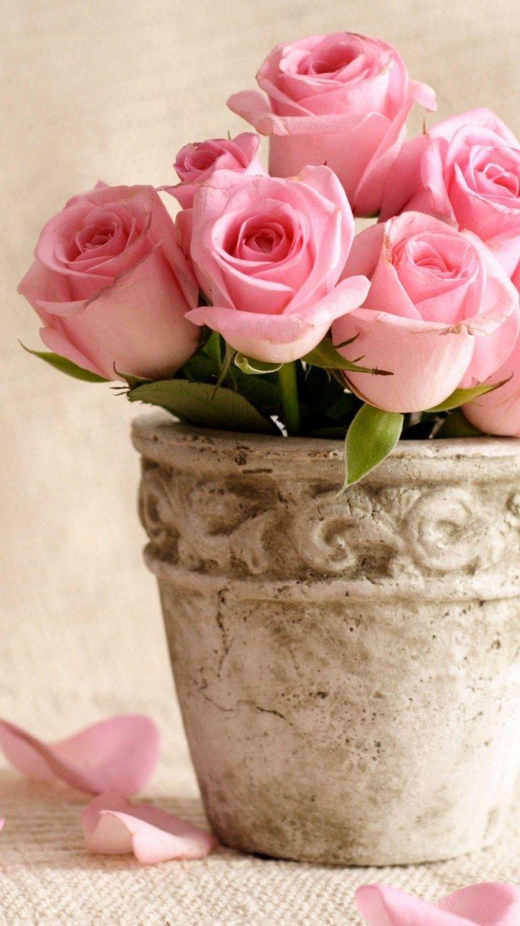 750x1334 Pink Flower Wallpaper iPhone In Rummy Pink Flower Wallpaper iPhone