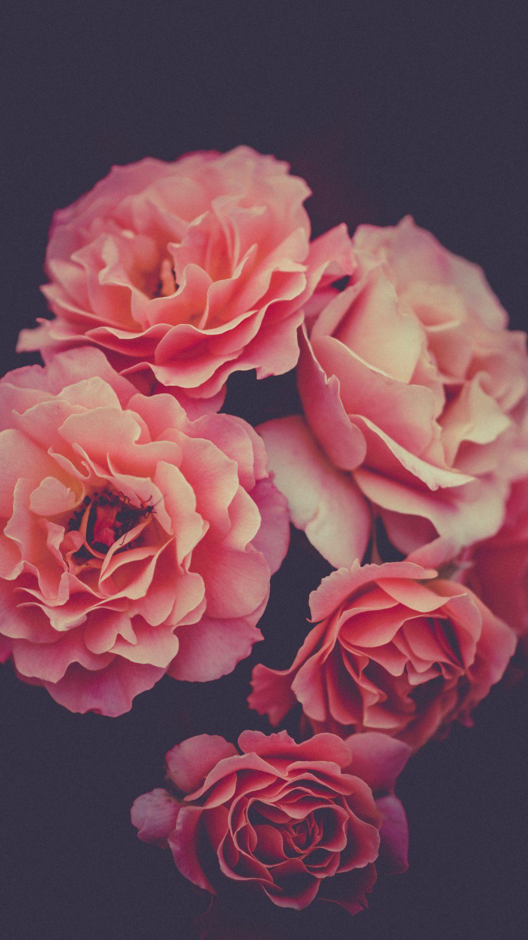 1080x1920 Rose Bouquet iPhone Wallpaper