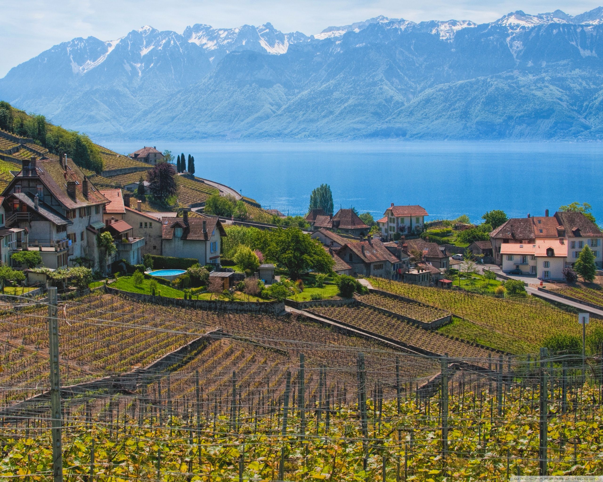 2560x2048 Lake Geneva, Switzerland Ultra HD Desktop Background Wallpaper for 4K UHD TV : Tablet