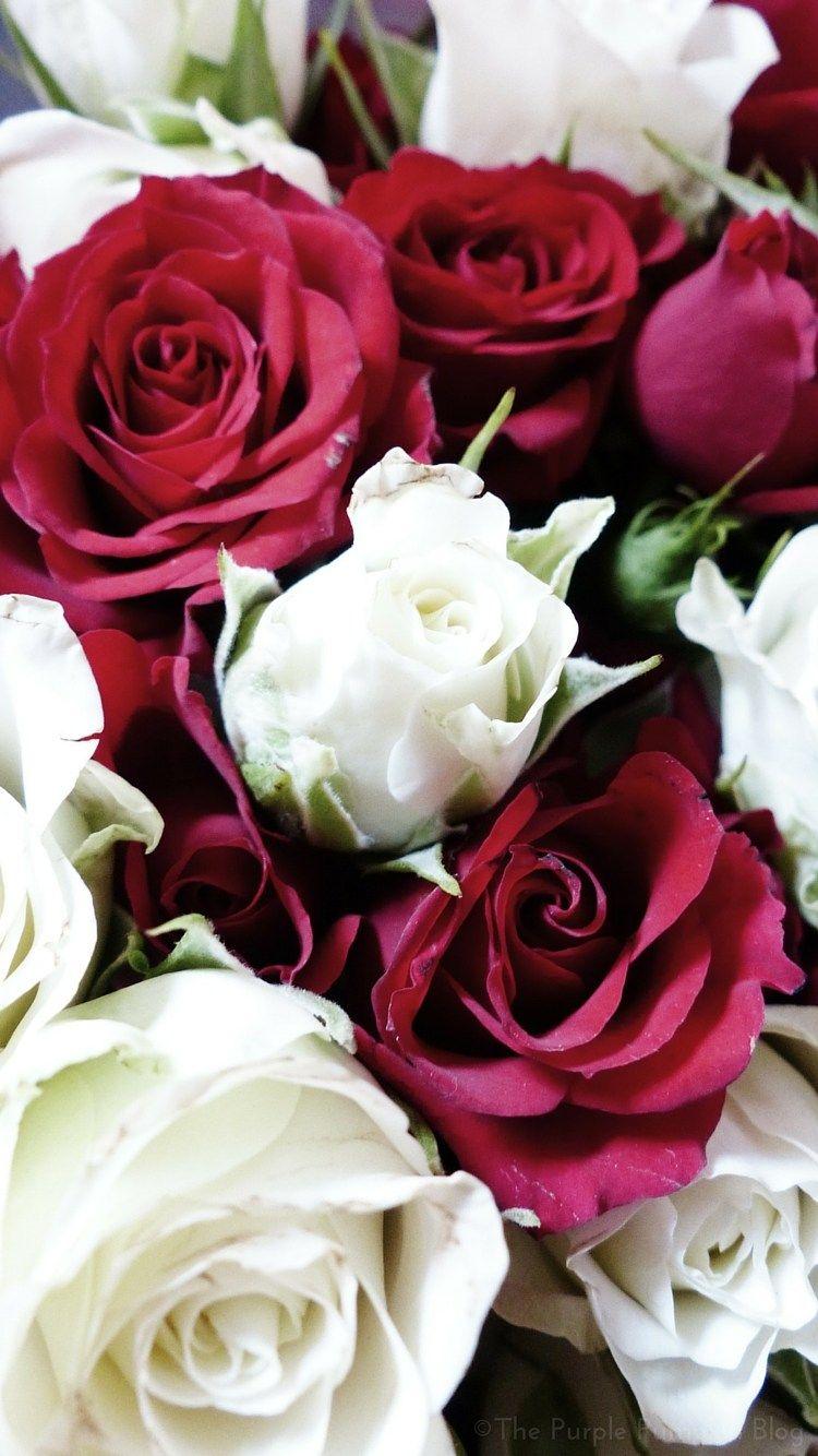 750x1334 Floral iPhone Wallpaper