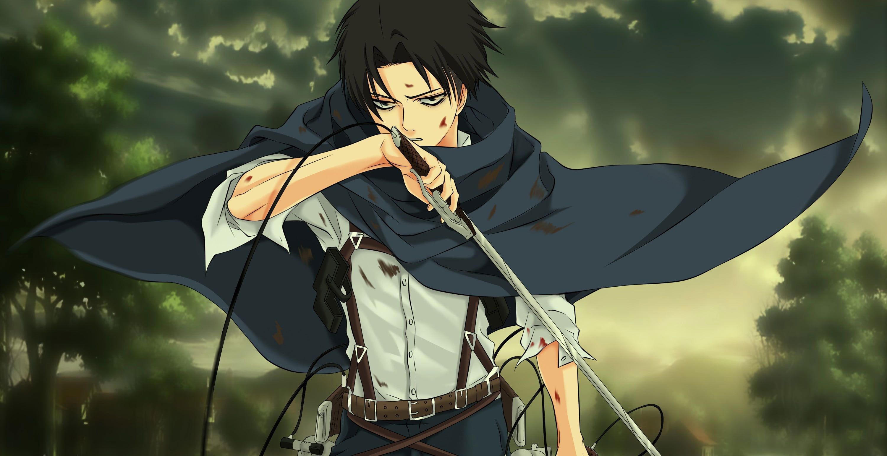 3000x1543 Wallpaper Attack On Titan Captain Levi, Sword, Blood
