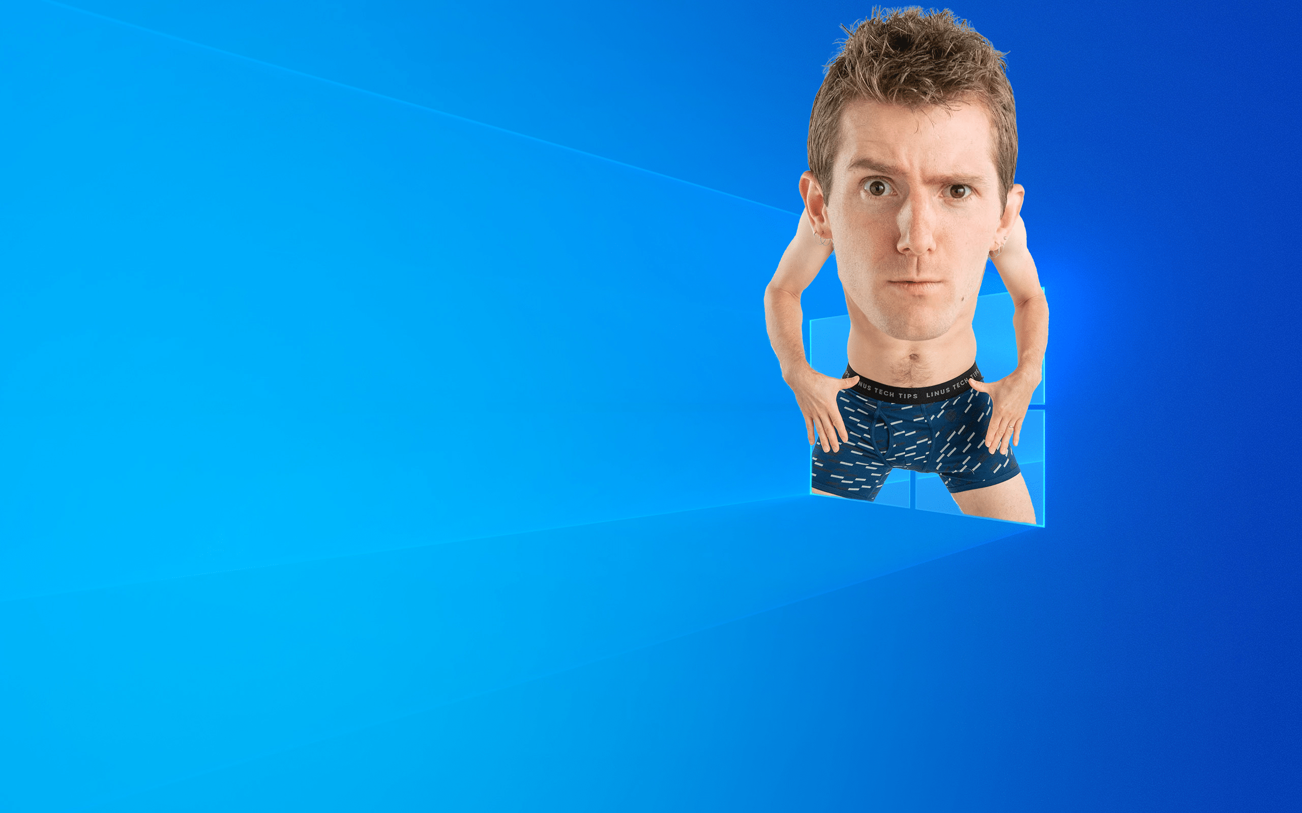 2560x1600 Linus Windows 10 [2560x1600]. Windows Cute desktop wallpaper, Desktop wallpaper background