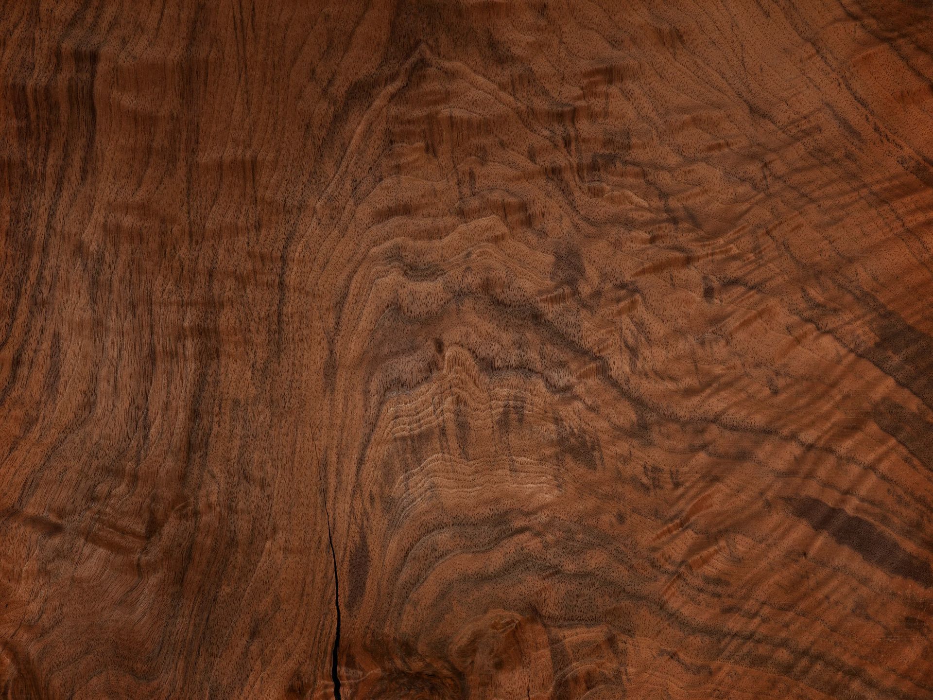 1920x1440 Special wood structure