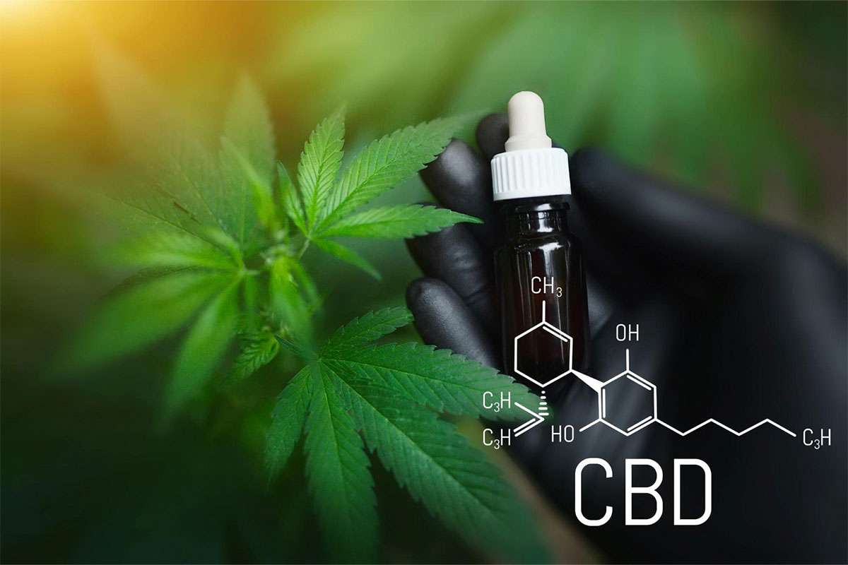 CBD Wallpapers - Top Free CBD Backgrounds - WallpaperAccess