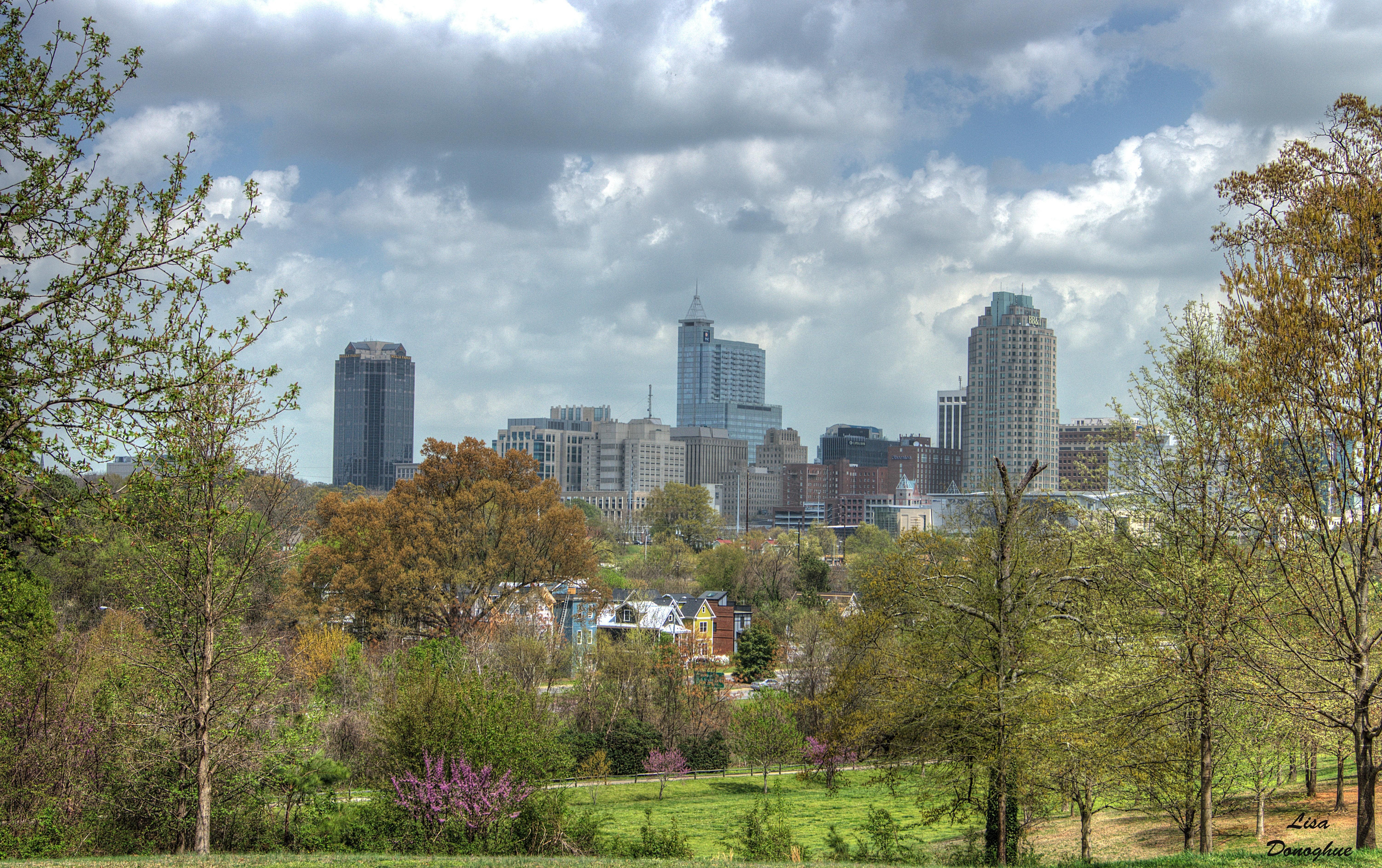 6008x3774 Raleigh 4K wallpaper for your desktop or mobile screen free and easy to download