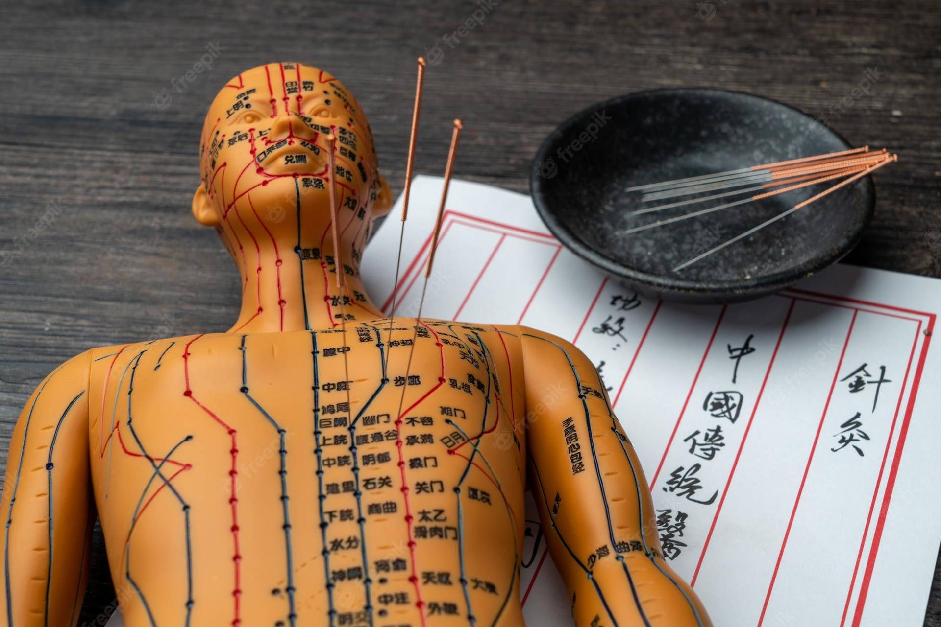 1920x1281 Download Acupuncturist Acupoints Needles Mannequin Wallpaper