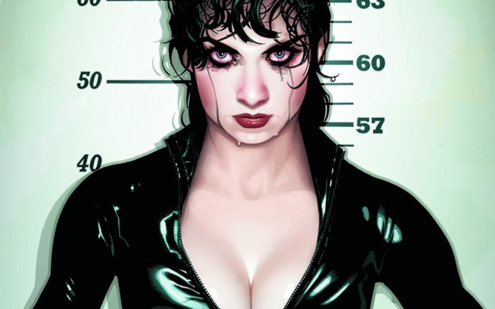 1680x1050 Wallpaper / 720P, selina kyle adam hughes catwoman free download