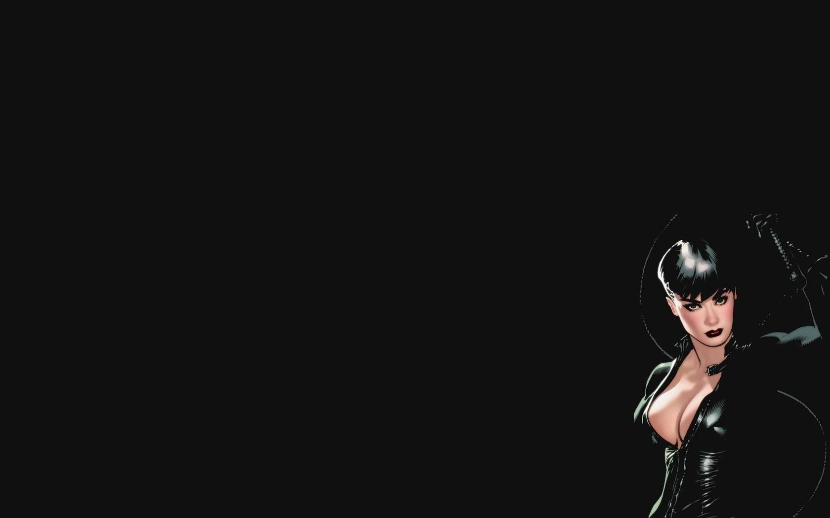 1680x1050 Free download dc comics catwoman selina kyle HD Wallpaper Cartoon Animation [1680x1050] for your Desktop, Mobile & Tablet. Explore Catwoman Desktop Wallpaper. Catwoman Wallpaper, Catwoman Wallpaper, Catwoman Wallpaper HD