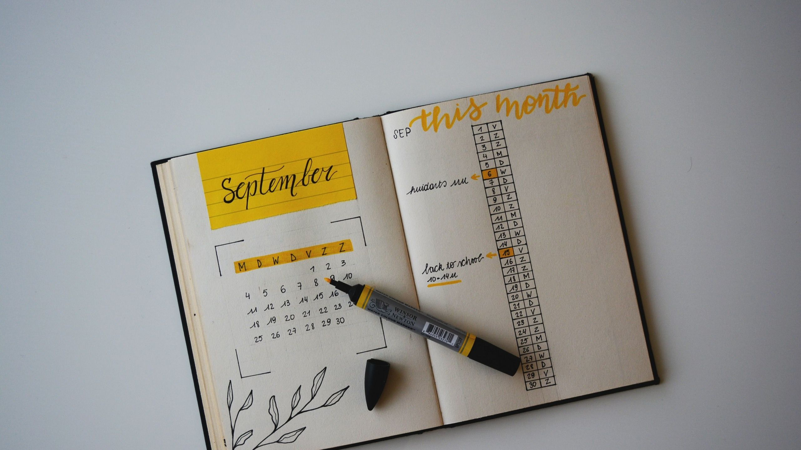 2560x1440 Wallpaper / back to school with a bullet journal 4k wallpaper free download