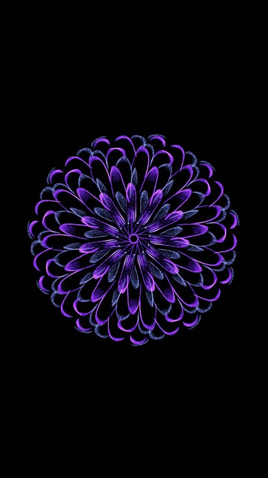 1080x1920 Download Purple Zinnia Flower Apple Wallpaper