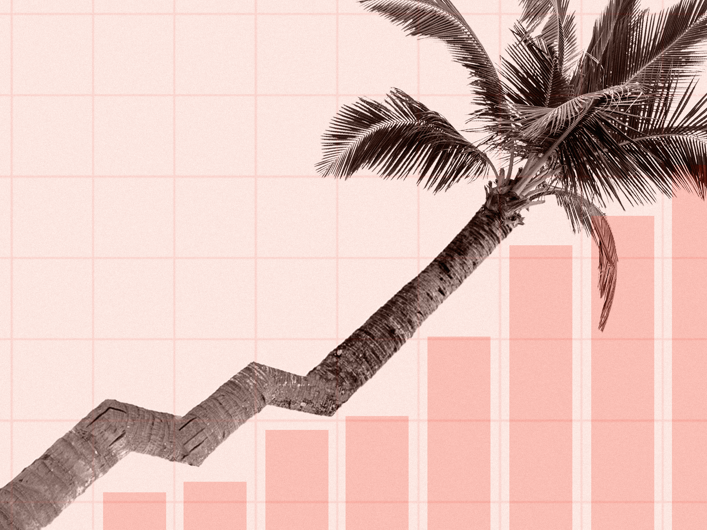 2400x1800 How the Rising Price of Palm Oil Could Affect the Cost of Your Beauty Products
