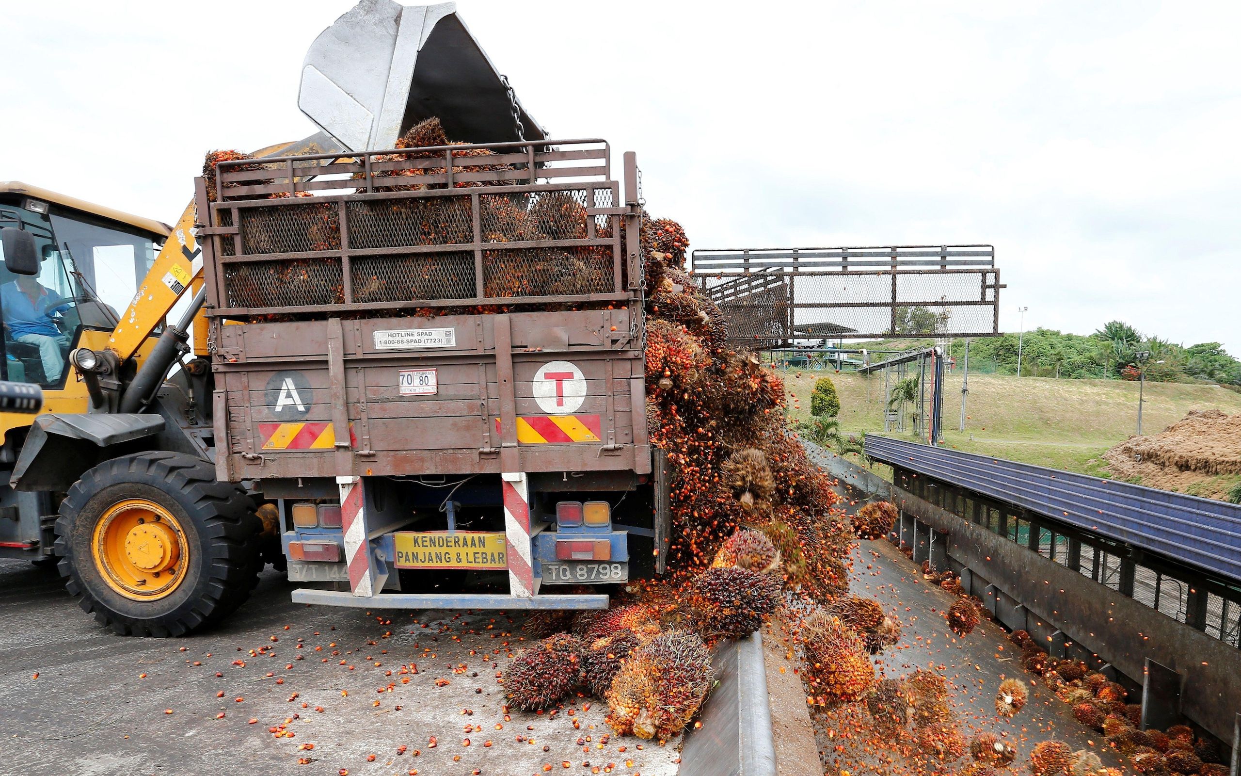 2560x1600 Opinion: Malaysia's sustainability standard can clean up murky supply chains
