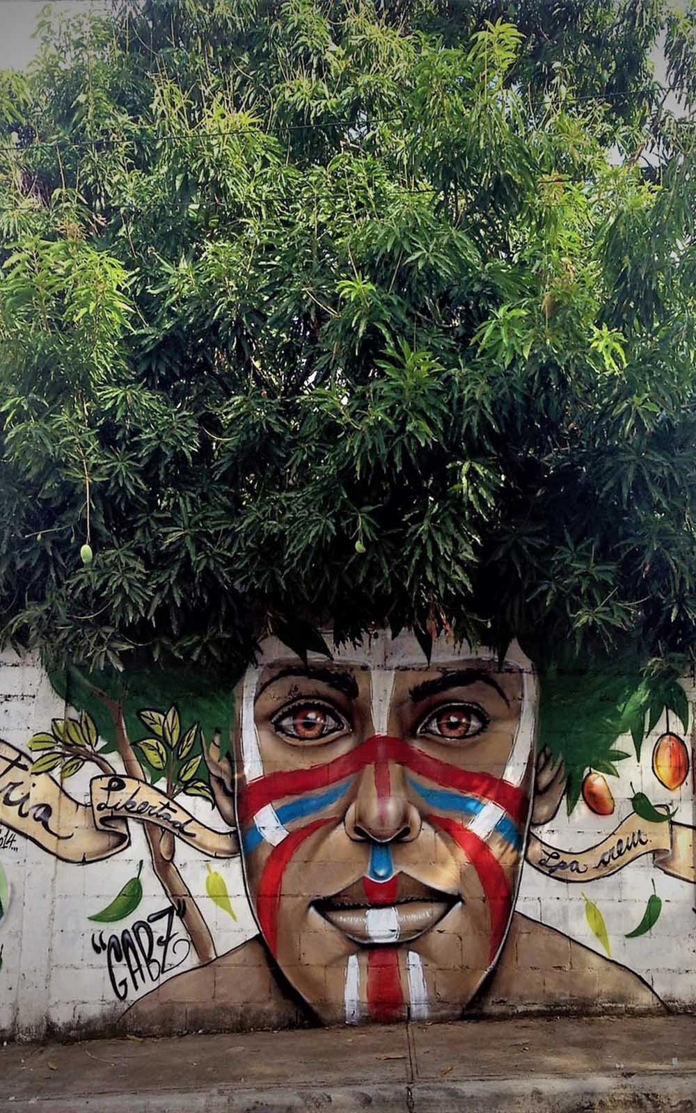 1000x1600 Street Tree Graffiti Free HD Mobile Wallpaper