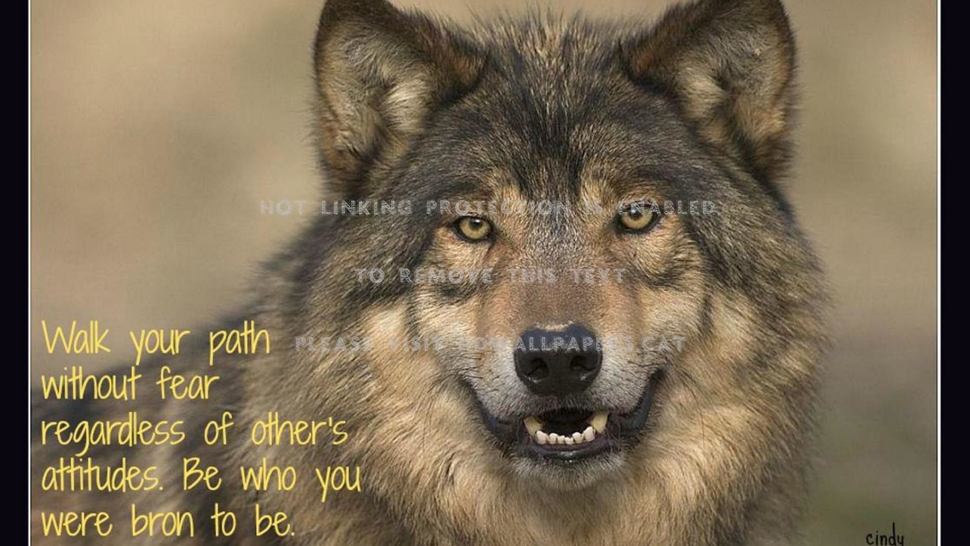 1920x1080 Native American Wolf Wallpaper