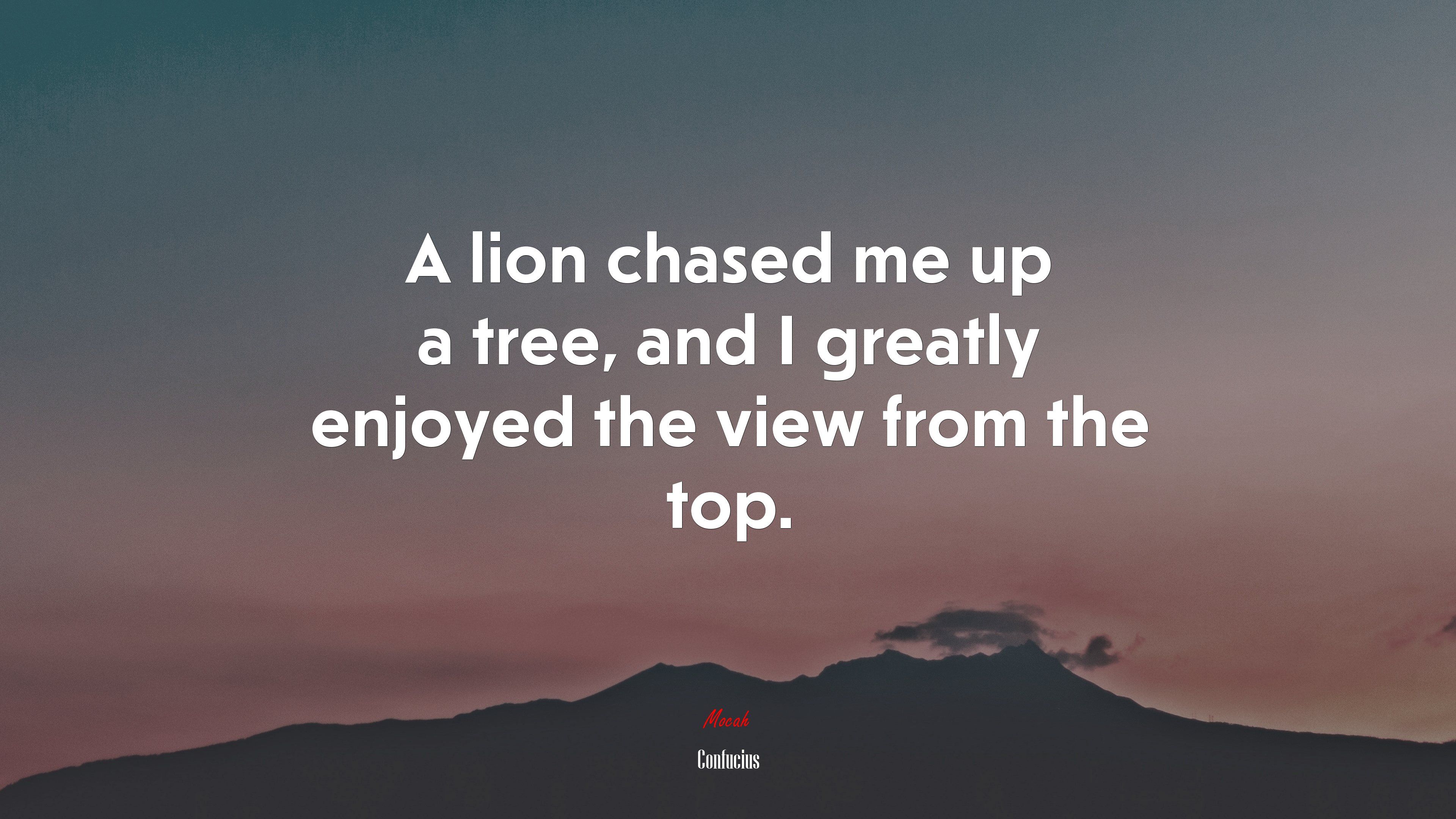 3840x2160 A lion chased me up a tree, and I greatly enjoyed the view from the top. Confucius quote Gallery HD Wallpaper