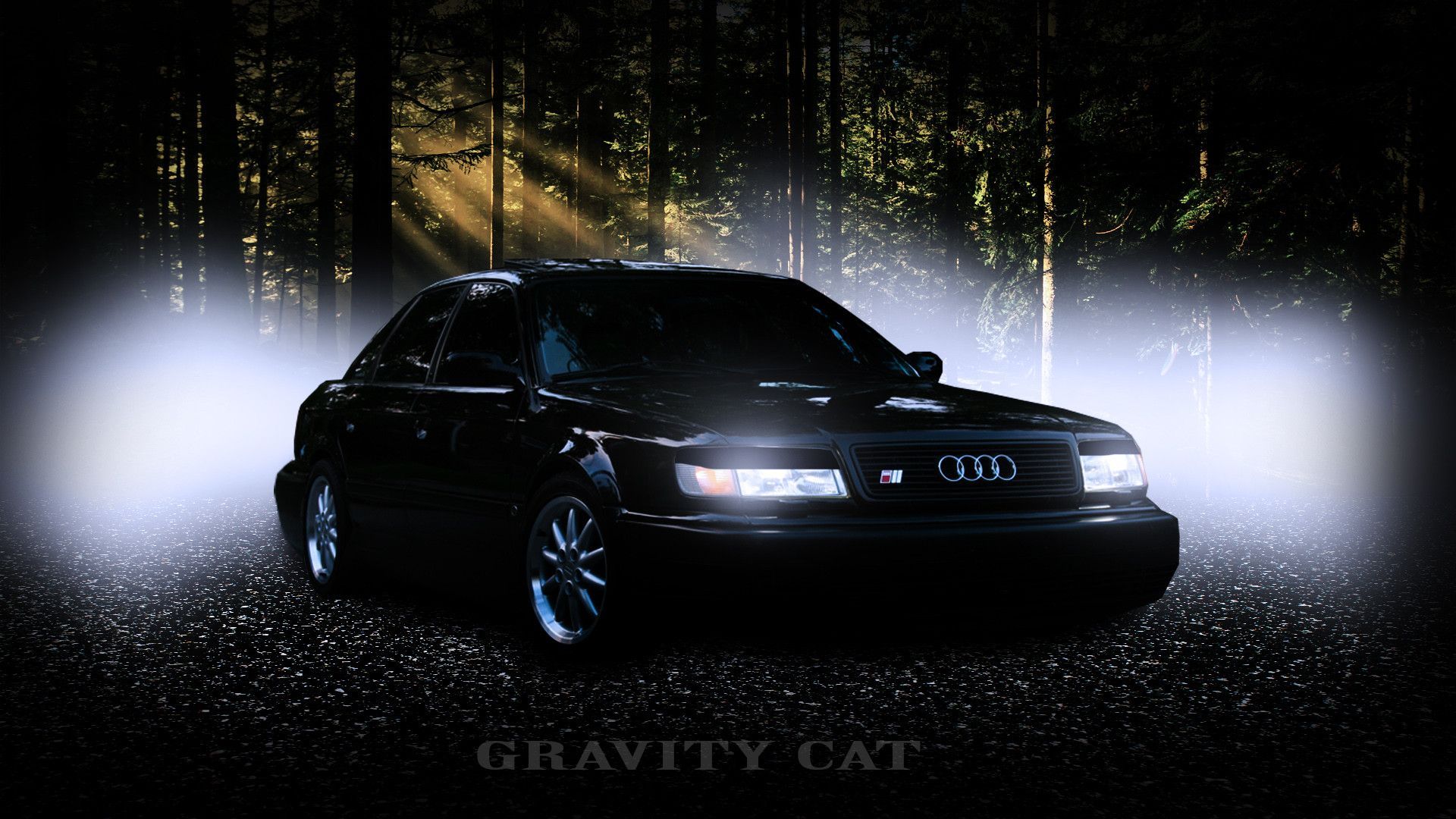1920x1080 Gravity Cat German mafia Car 3