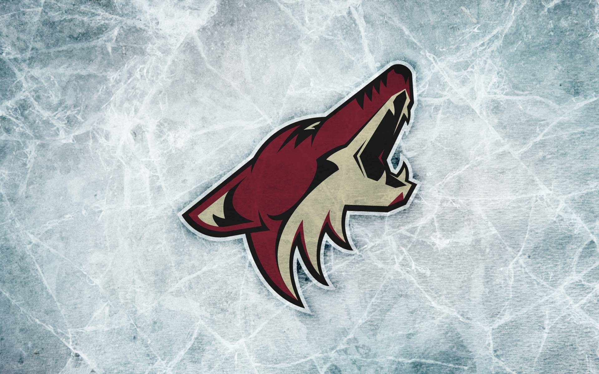 1920x1200 Free download Arizona Coyotes Wallpaper [1920x1200] for your Desktop, Mobile & Tablet. Explore Phoenix Coyotes Wallpaper. Phoenix Wright Wallpaper, Phoenix Wright Wallpaper, Dark Phoenix Wallpaper
