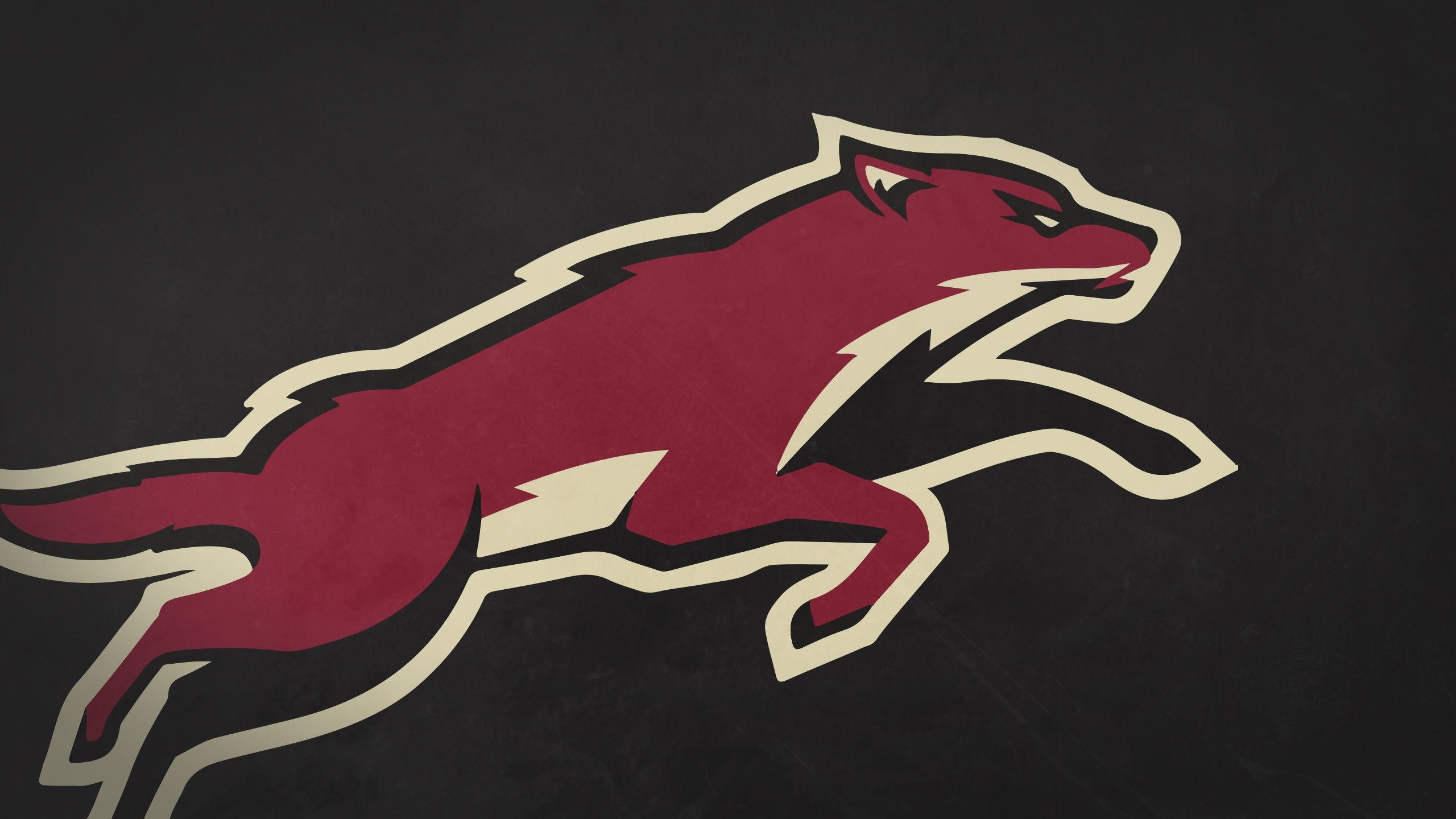 2560x1440 Download Arizona Coyotes wallpaper for mobile phone, free Arizona Coyotes HD picture