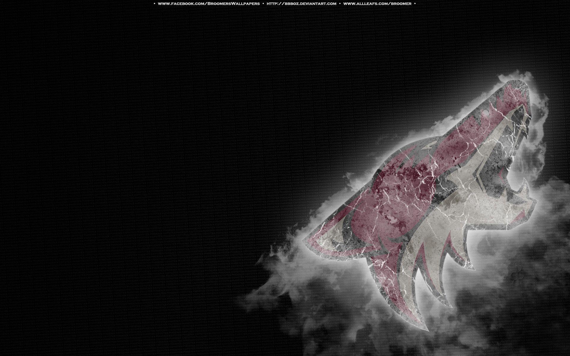 Arizona Coyotes Wallpapers - Top Free Arizona Coyotes Backgrounds ...