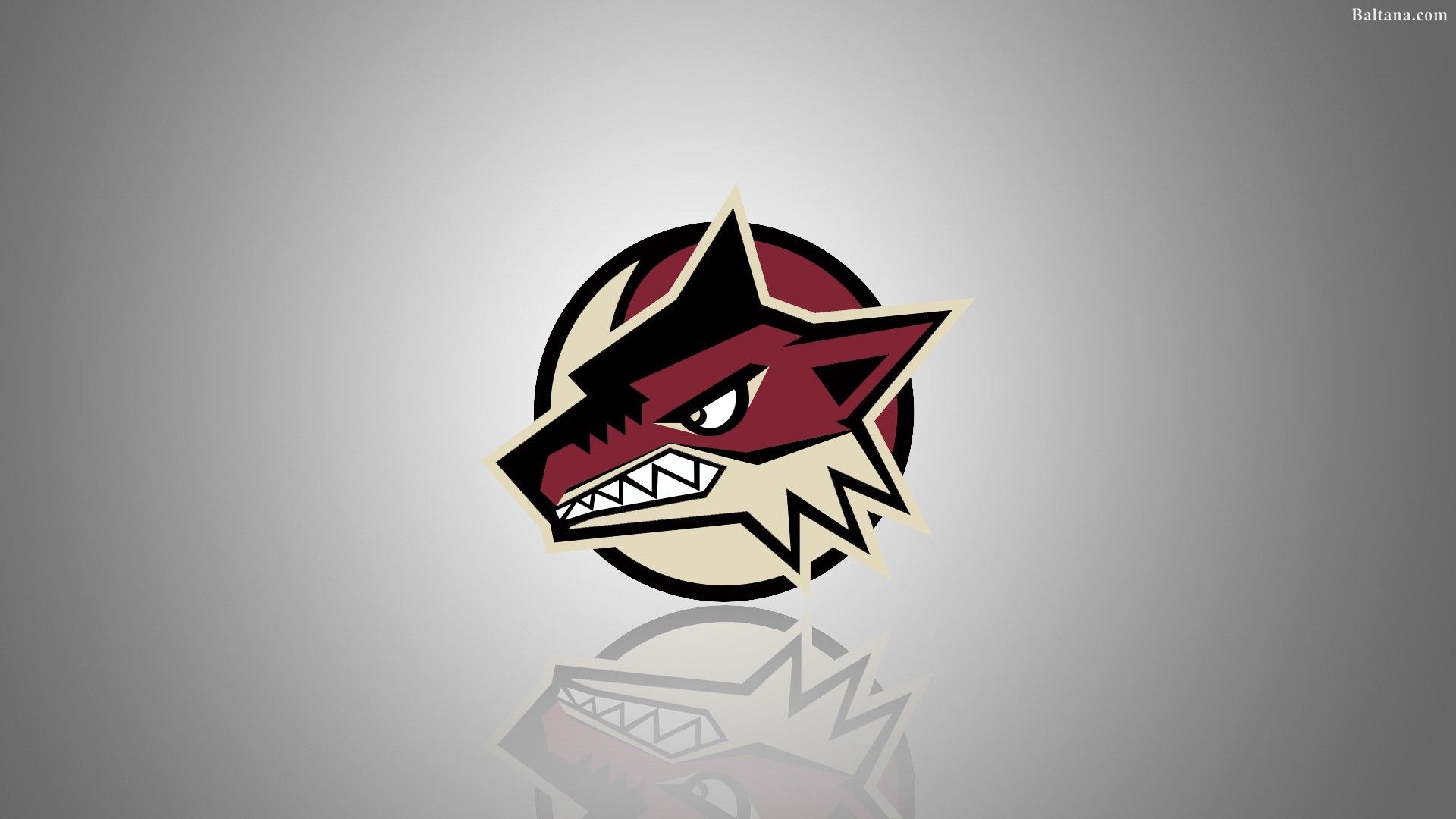 Arizona Coyotes Wallpapers - Top Free Arizona Coyotes Backgrounds ...