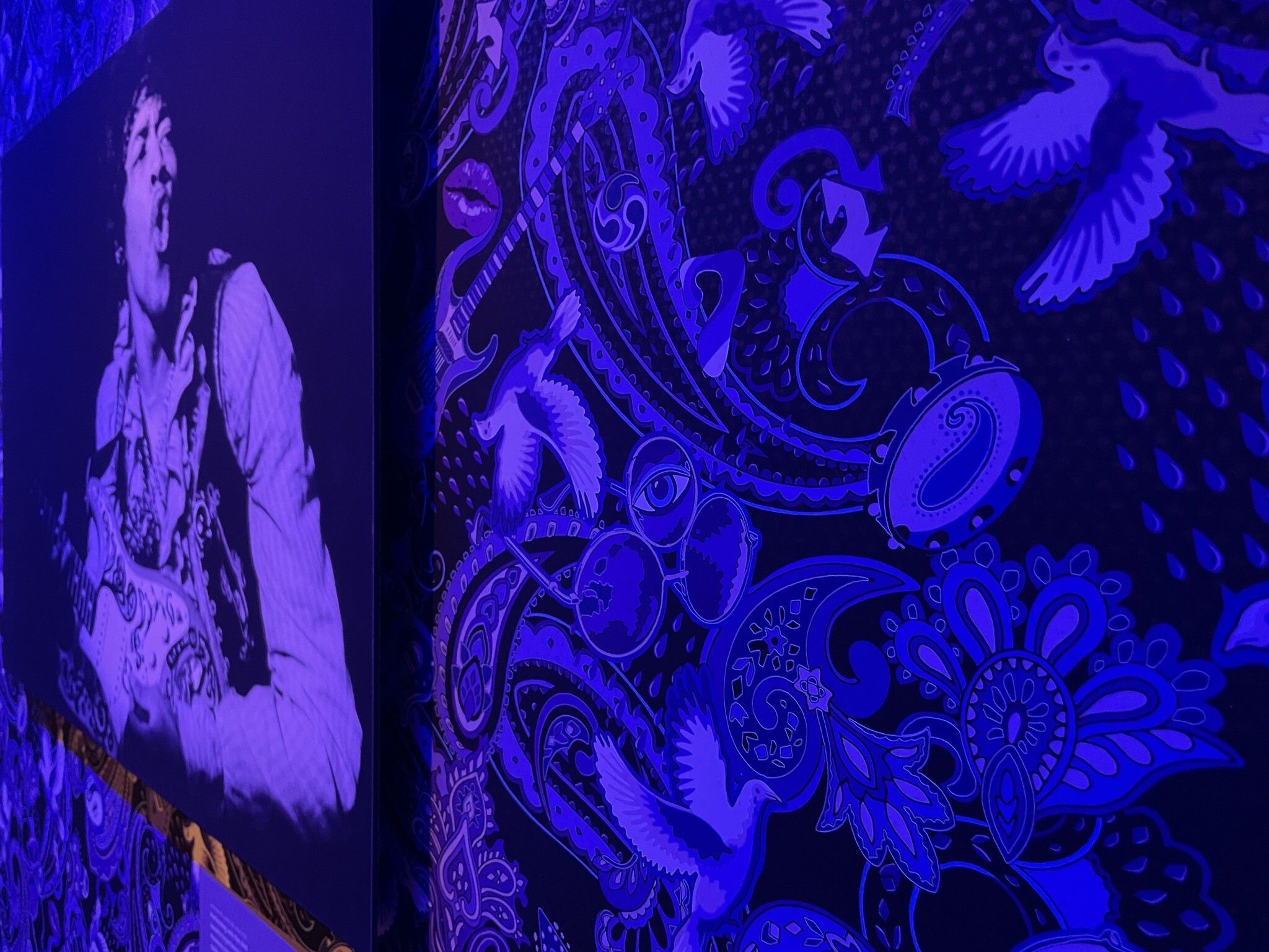 2048x1536 Exhibit explores shift of paisley prints from Persian palaces to psychedelic symbol. The Times of Israel