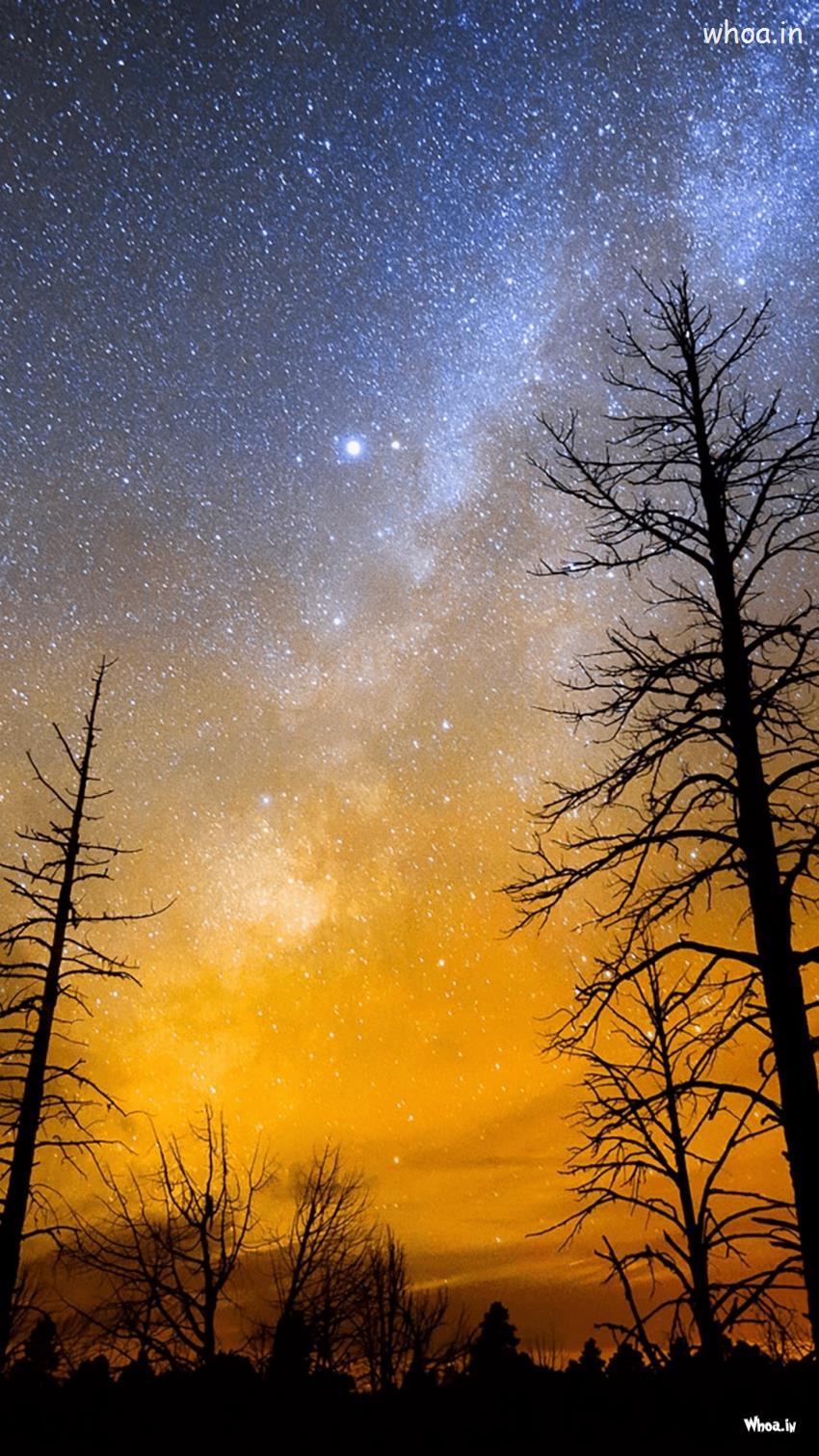 850x1511 Natural Landscape Mobile Wallpaper & HD Image Wallpaper For Mobiles Mobile Wallpaper Wallpaper