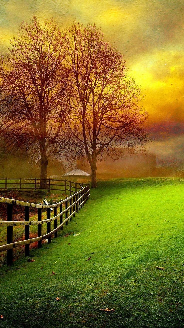 736x1308 Natural. Android wallpaper HD nature, HD nature wallpaper, Beautiful nature wallpaper hd
