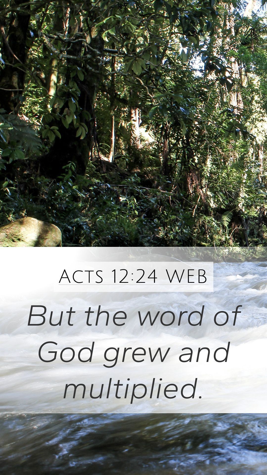 1080x1920 Acts 12:24 WEB Mobile Phone Wallpaper the word of God grew and
