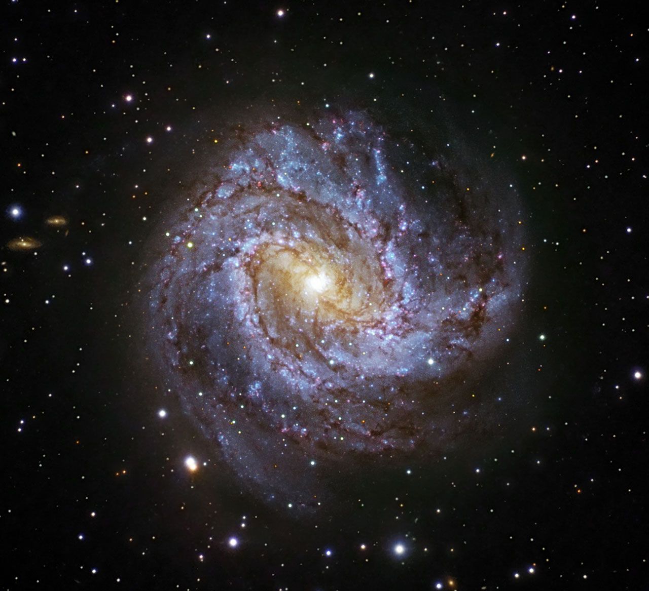 1280x1167 The Southern Pinwheel