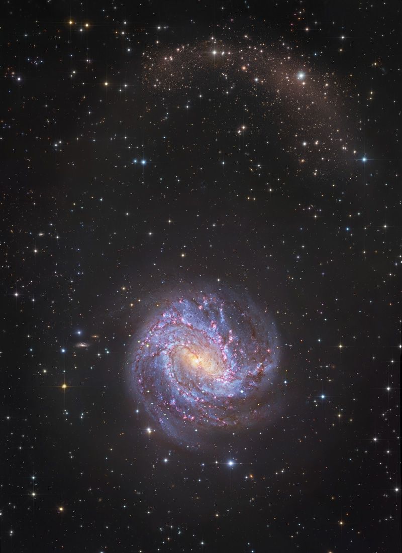 800x1101 M83 Starstream S