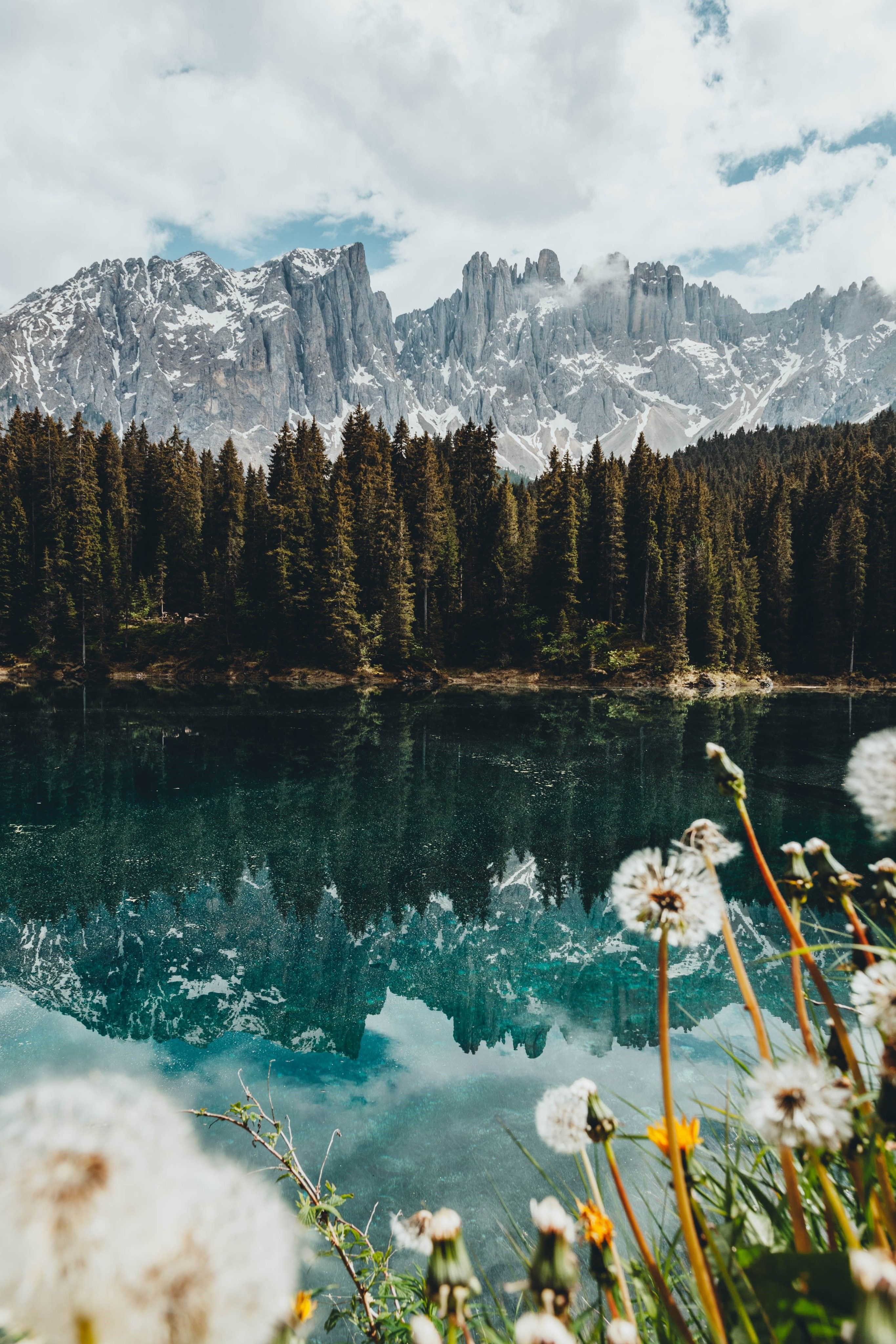 2731x4096 dandelion, portrait display, mountains, snowy mountain, lake, landscape, nature, pine trees Gallery HD Wallpaper